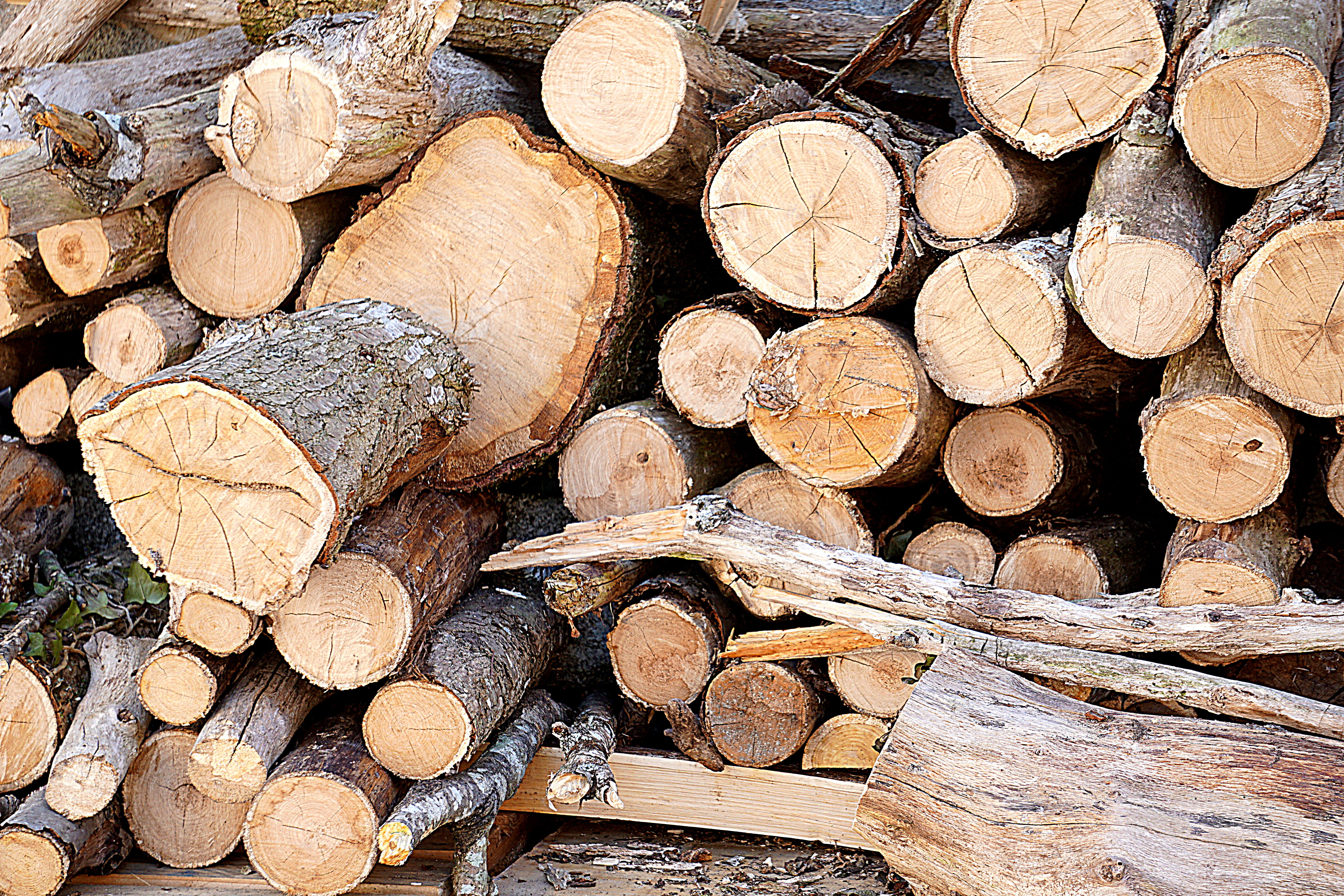 outdoors, forest, stack, backgrounds, tree, logs, woodpile, trunk, fuel and power generation, tree ring, lumber industry, branch, heap, nature, pile, environmental issues, HD Wallpaper