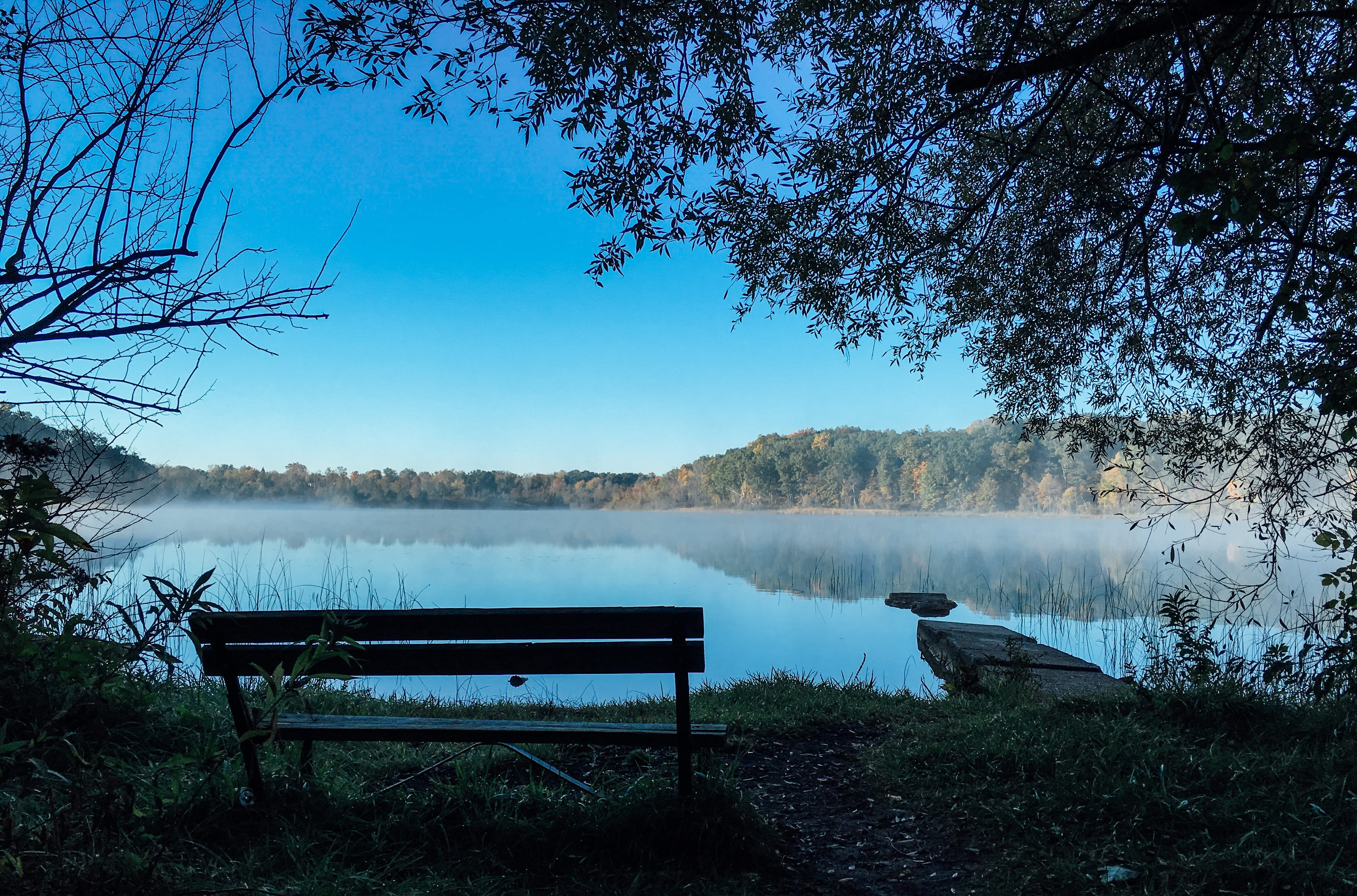 autumn, sky, lakeshore, reflection, tranquility, front, facing, outdoors, body, no People, idyllic, forest, bench, park - Man Made Space, beach, lake, plant, HD Wallpaper
