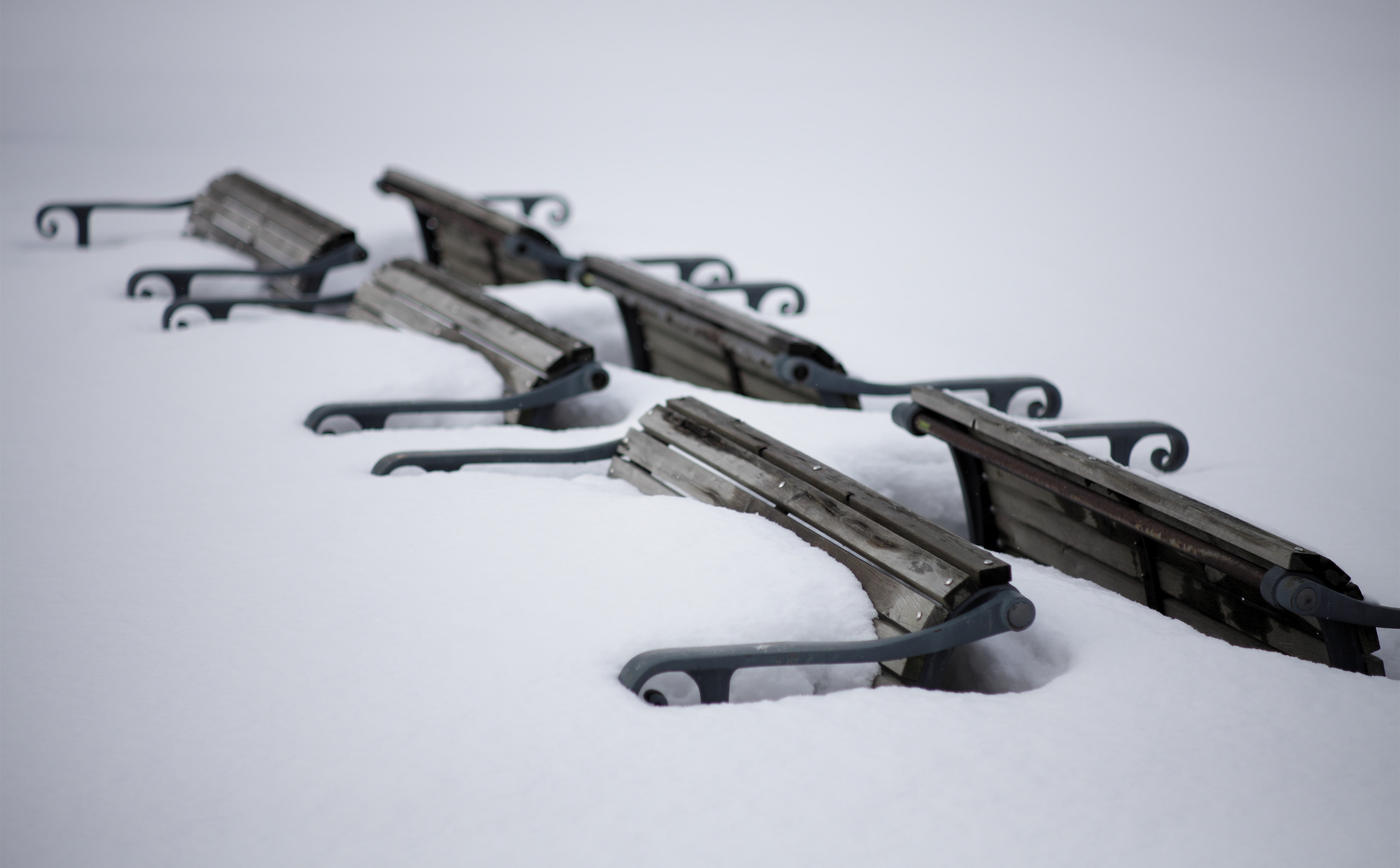 Winter, no people, handgun, gun, aomori, studio shot, Japan, close-up, variation, Bench, silver colored, protection, choice, 5K, canon, buried, high angle view, HD Wallpaper