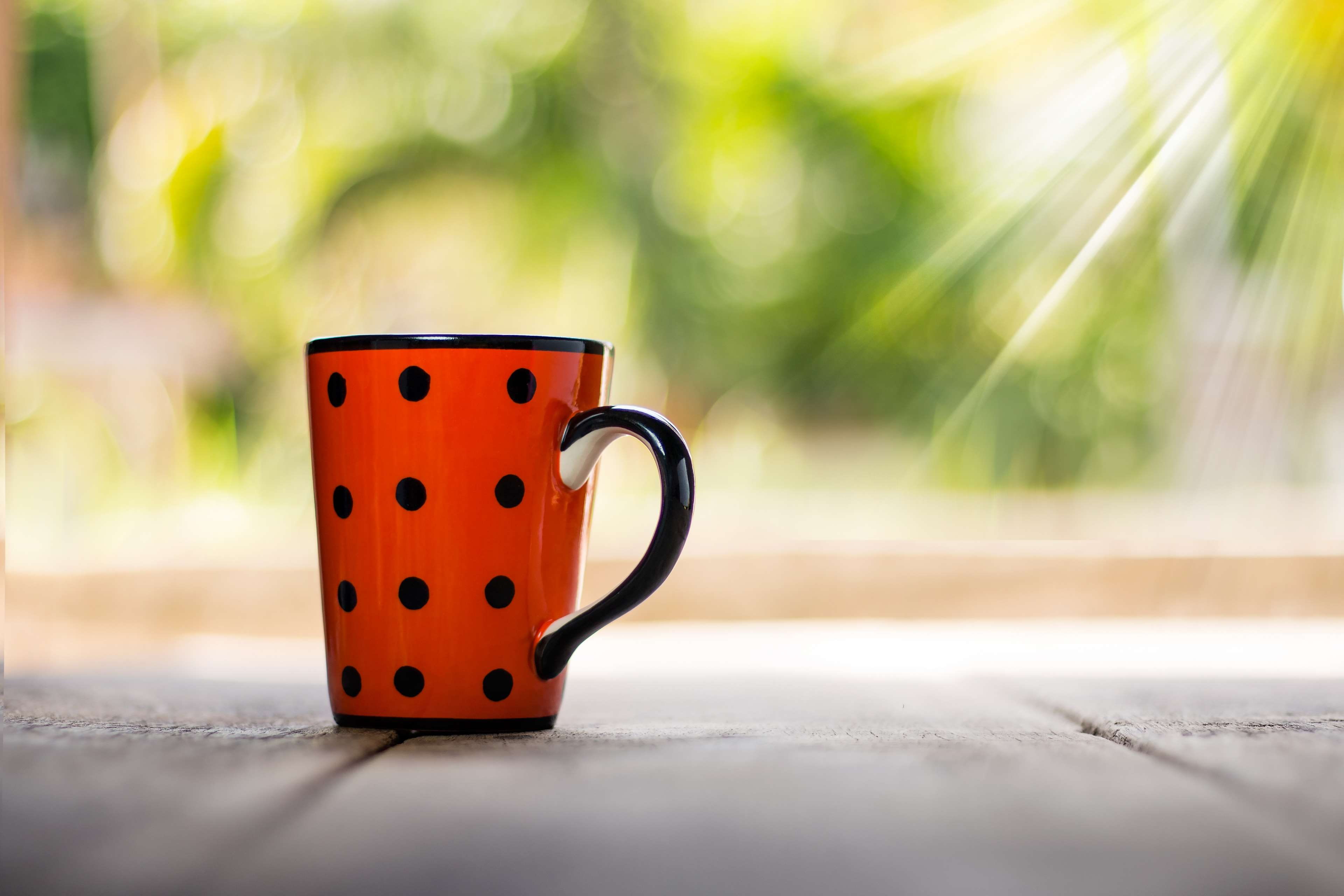 ray of light, tea, empty, food, closeup, wooden, tea cup, 4K, hot drink, fresh, top, texture, red, coffee - drink, mug, day, crockery, table, single object, HD Wallpaper