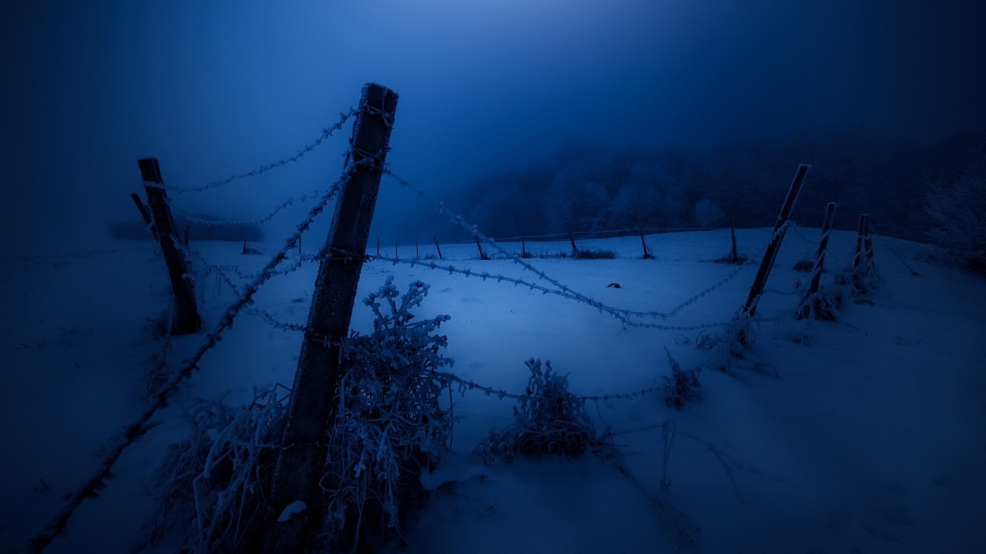 dusk, dark, no people, land, tranquility, snow, environment, tranquil scene, scenics - nature, landscape, plant, winter, fence, 1080P, cold, night, outdoors, HD Wallpaper