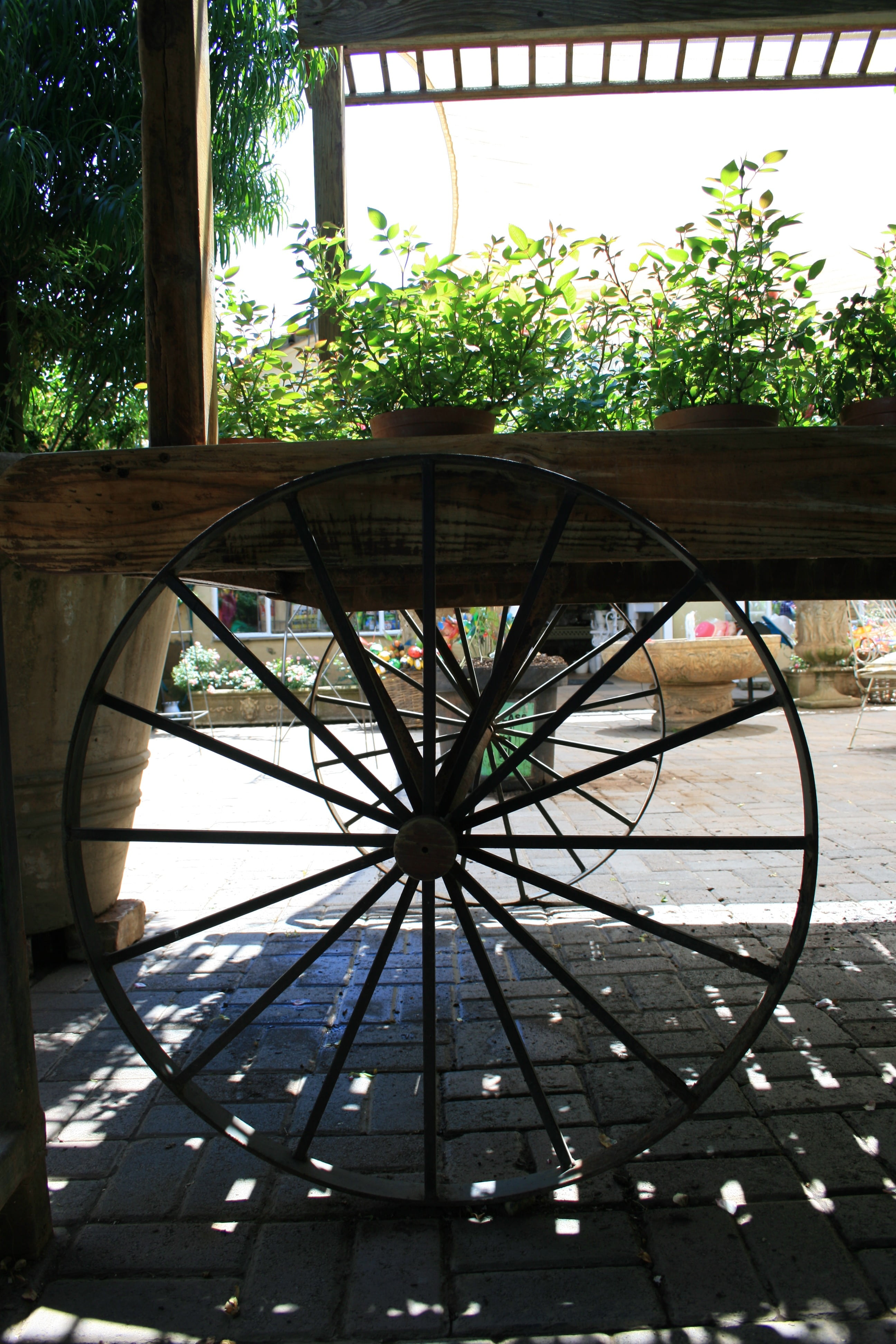 porch, plant, potted, spokes, outdoors, day, built structure, round, park, ight and shaddow of slats, wheel, table, 4K, architecture, tree, decoratve, Phone HD Wallpaper