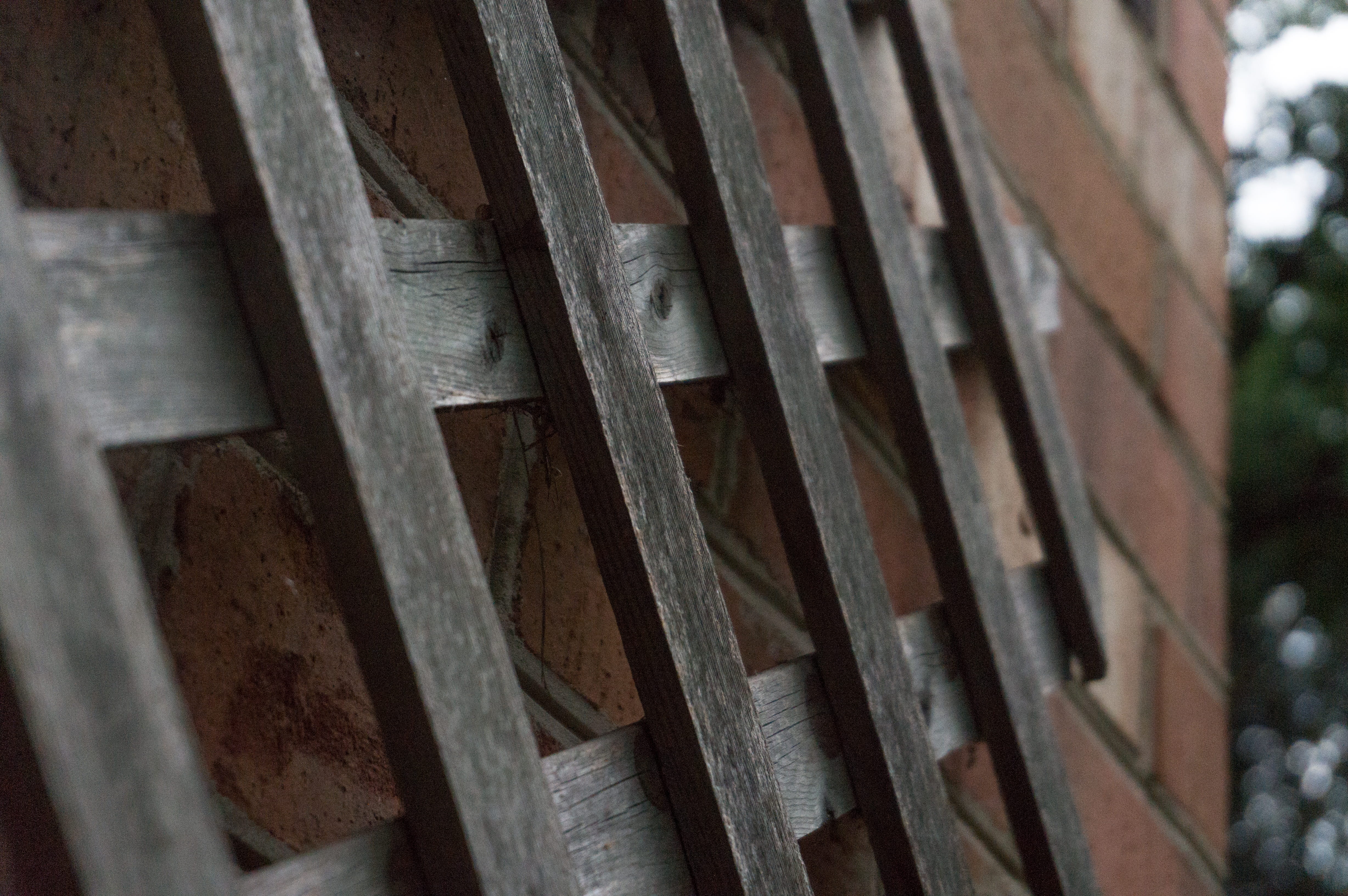 outdoors, full frame, summer, day, linville, backgrounds, slat, shadow, united states, 4K, pattern, architecture, nature, no people, textured, selective focus, HD Wallpaper