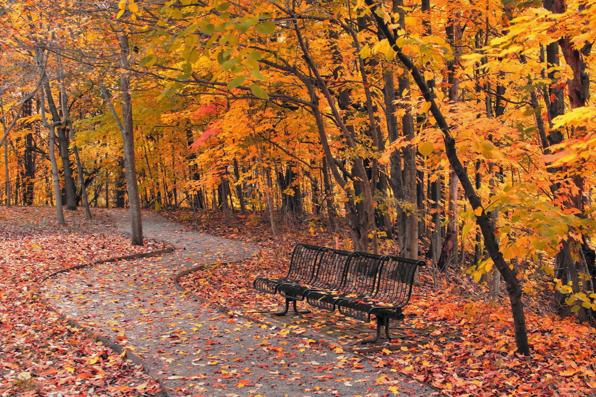 seater, four, steel, 1080P, black, Park, autumn, the city, bench, HD Wallpaper