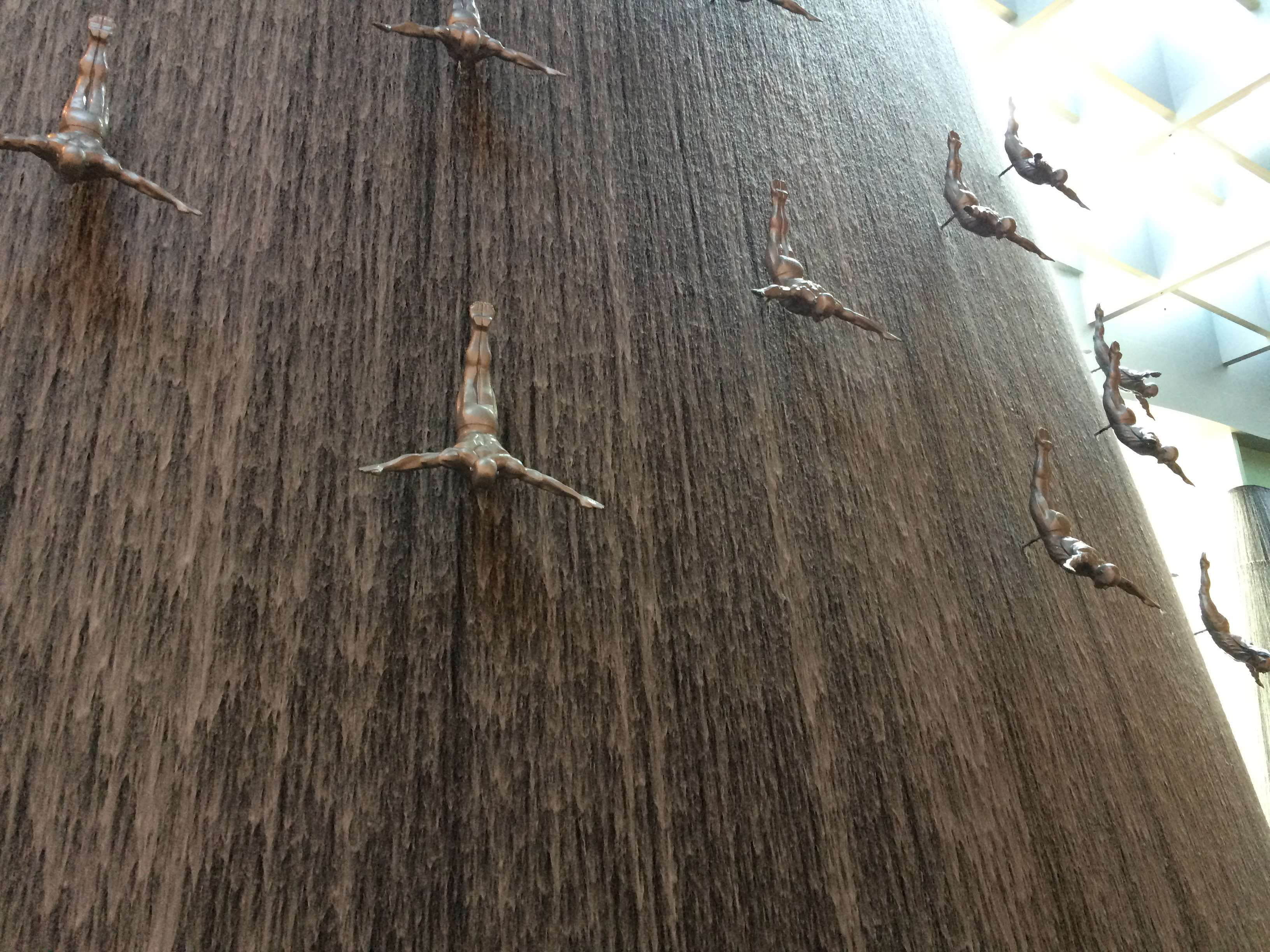 outdoors, branch, flying, invertebrate, day, textured, 2K, plant, animal, animal themes, wood - material, insect, group of animals, mall, no people, dubai, HD Wallpaper