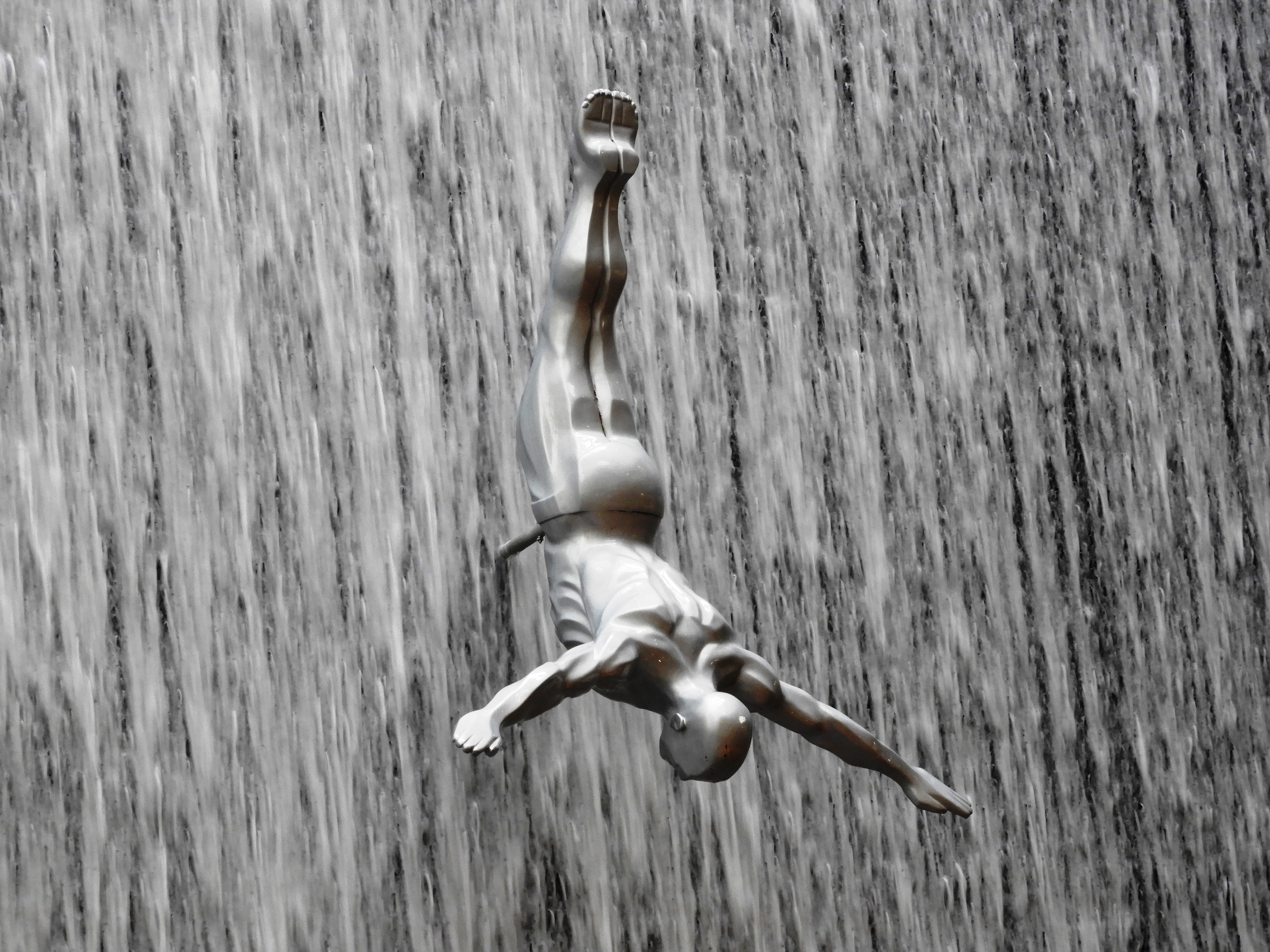 day, nature, dubai, fountain, animals in the wild, waterfall, blurred motion, speed, animal wildlife, close-up, wood - material, dubai mall, diving figure, HD Wallpaper