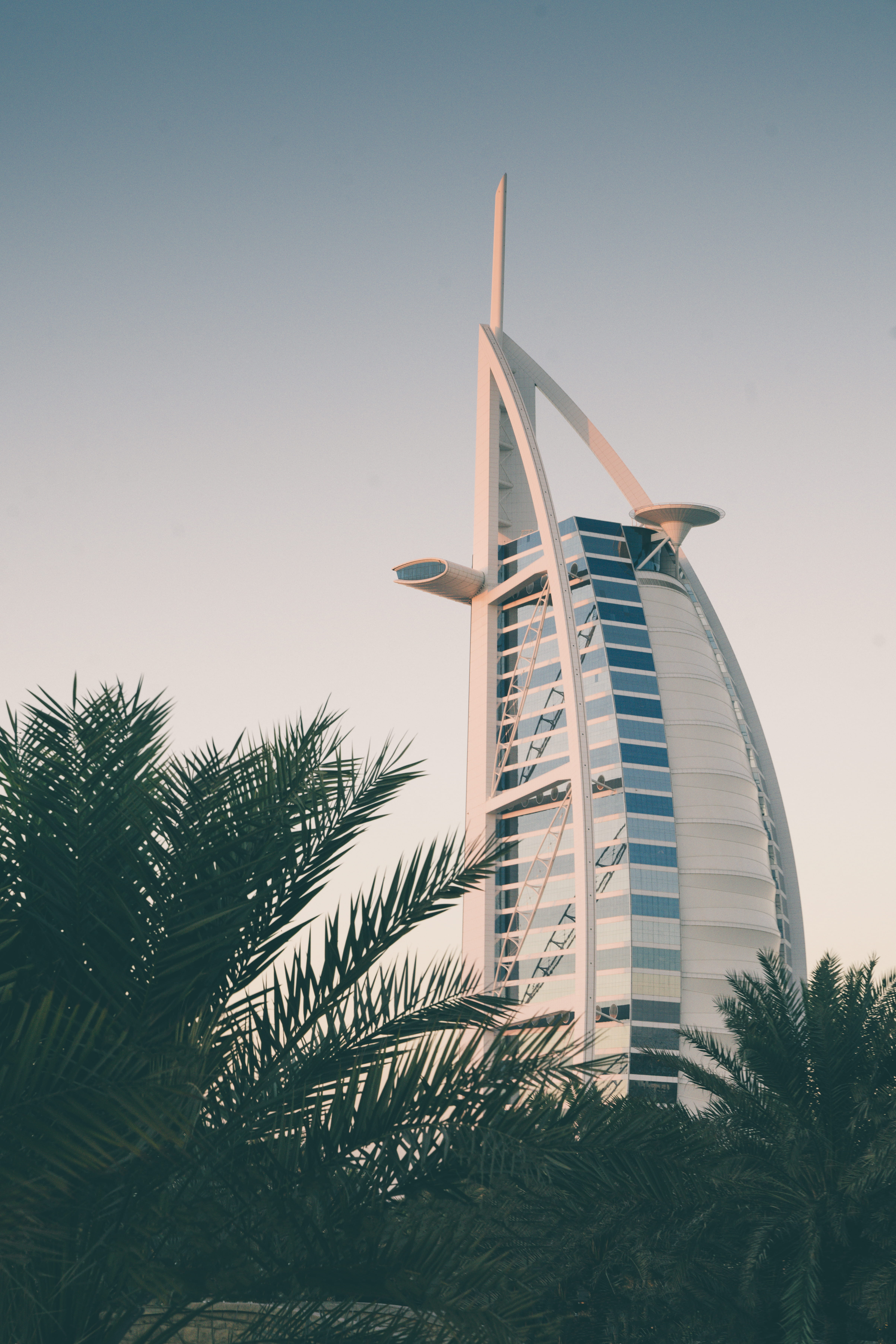palm tree, outdoors, low angle view, nature, architecture, 5K, burj, building exterior, clear sky, city, growth, united arab emirates, tree, modern, sky, Phone HD Wallpaper