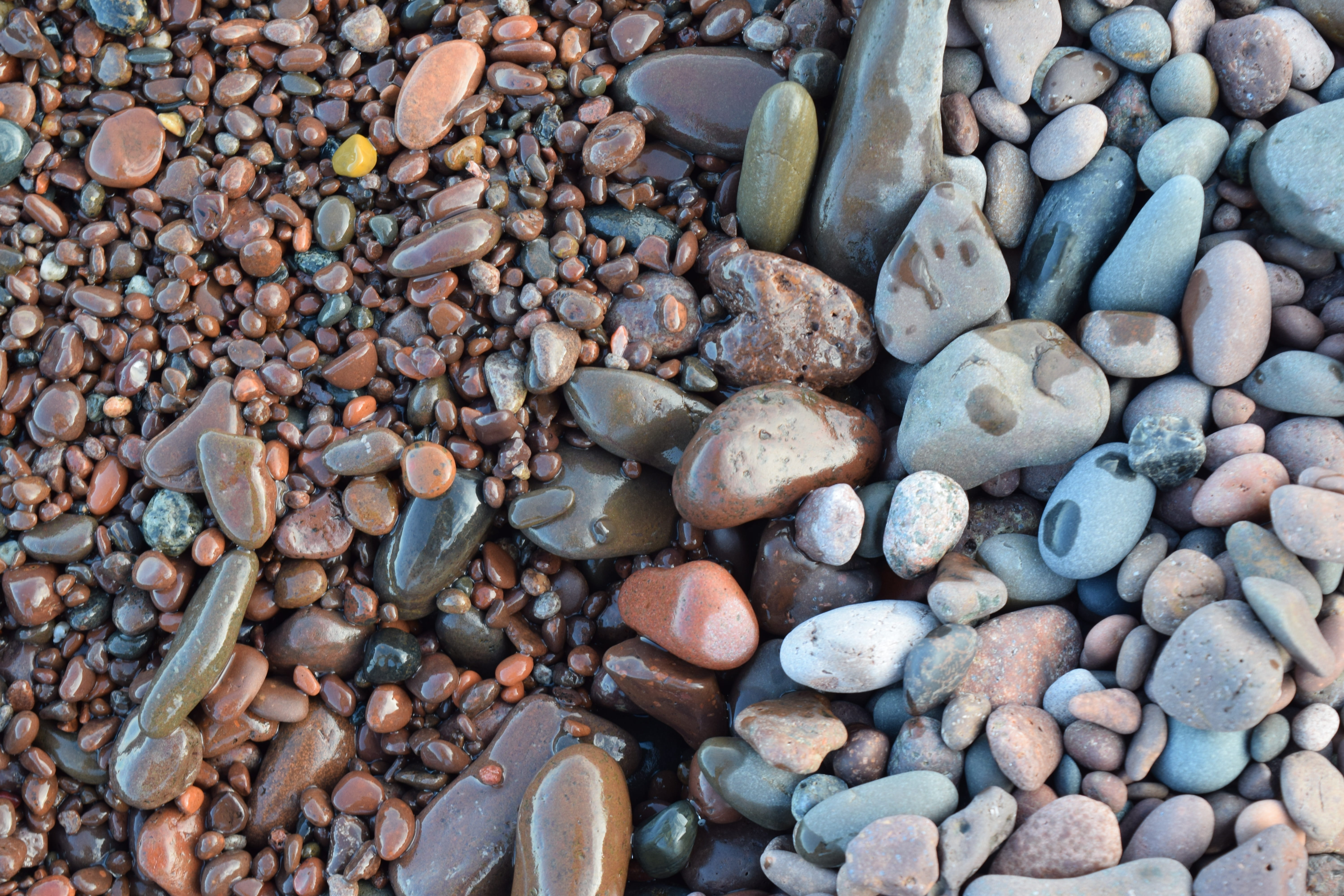 beach, textured, no people, outdoors, stone, abundance, high angle view, lake, solid, water, directly above, variation, pebble, lakeshore, land, desktop, HD Wallpaper