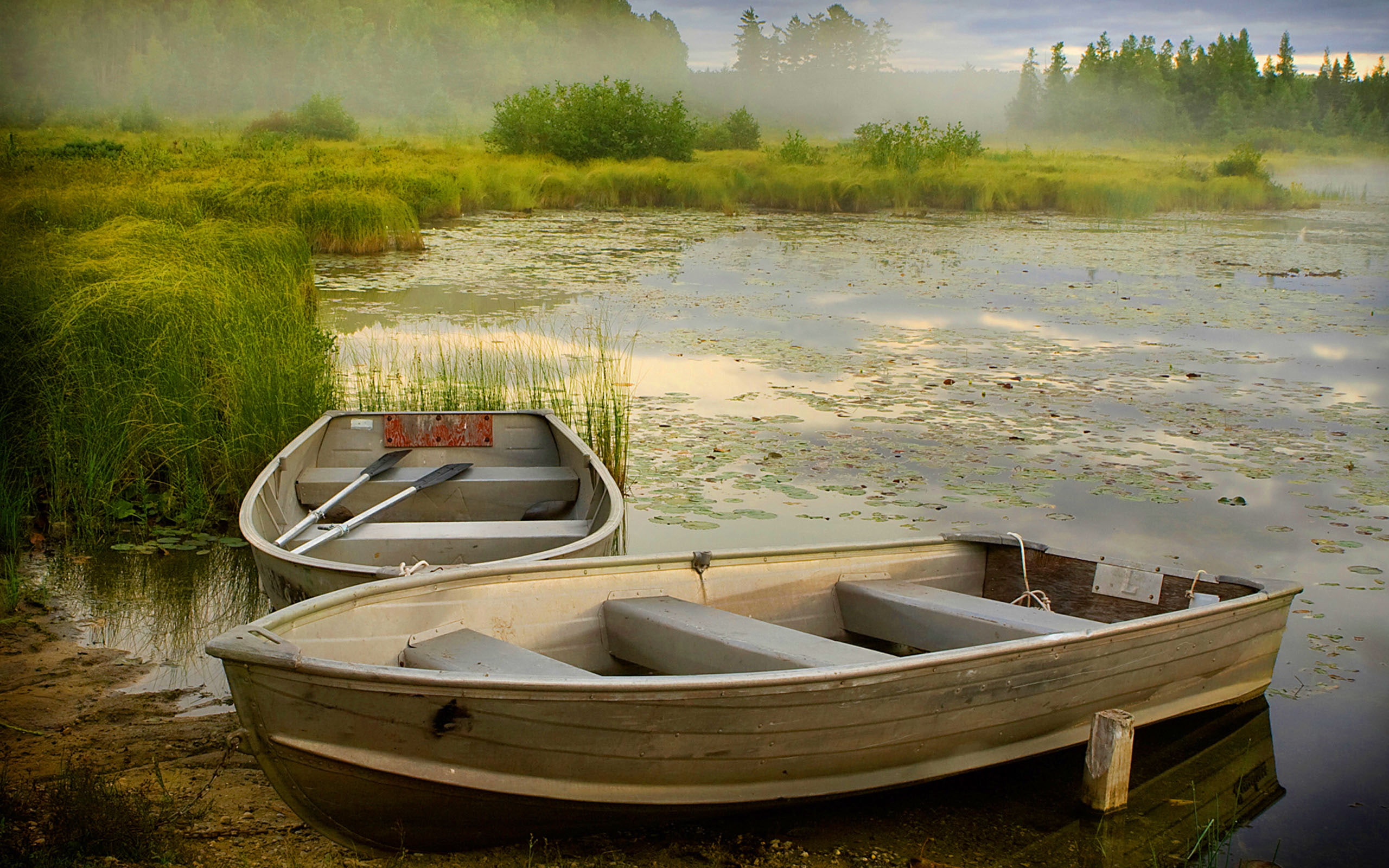 boats, misty, morning, quality, hd, background, jpg, desktop, reed, 2K, lake, HD Wallpaper