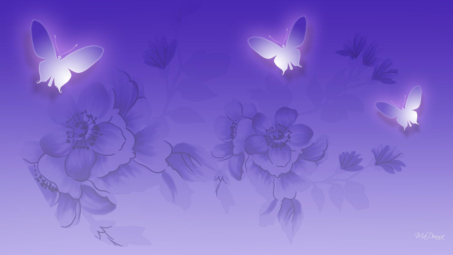 flowers, 3d and abstract, lavender, lilac, majesty, transparent, butteflies, 1080P, firefox persona, glow, purple, HD Wallpaper
