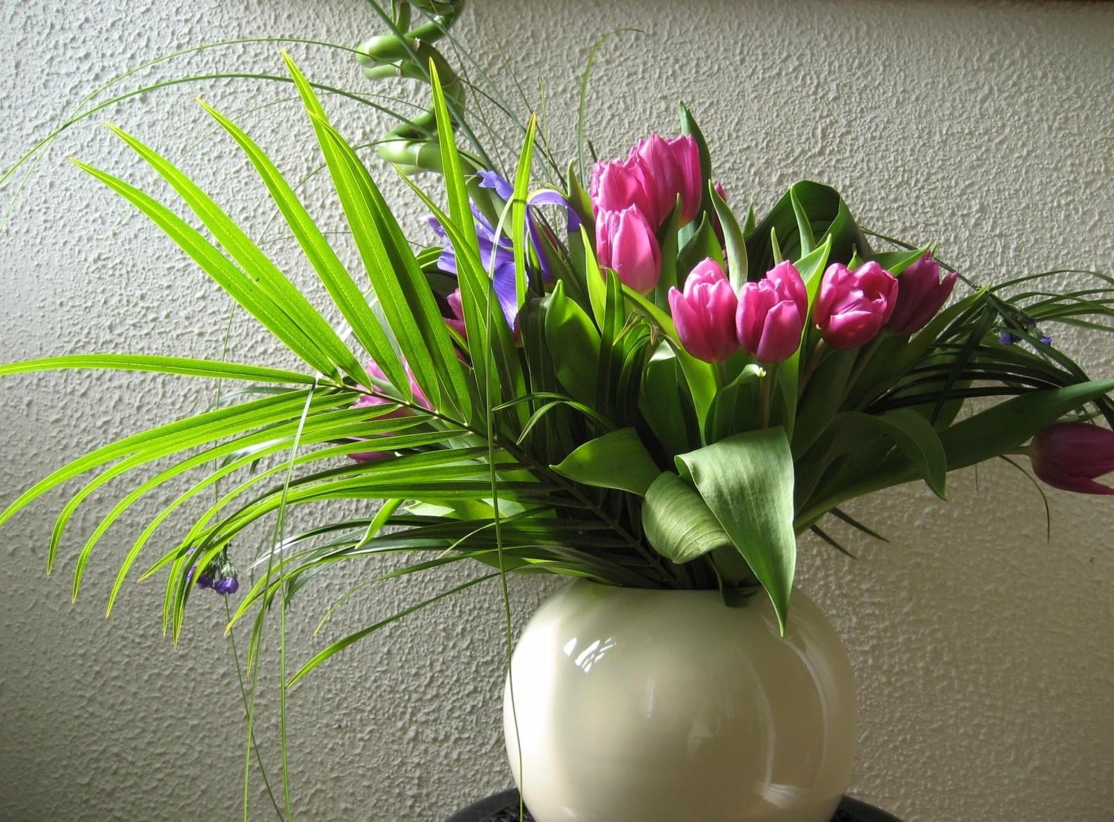 wall - Building Feature, plant part, greenery, green Color, bunch of flowers, centerpiece, leaves, wall, purple, multi Colored, 720P, flower arrangement, HD Wallpaper
