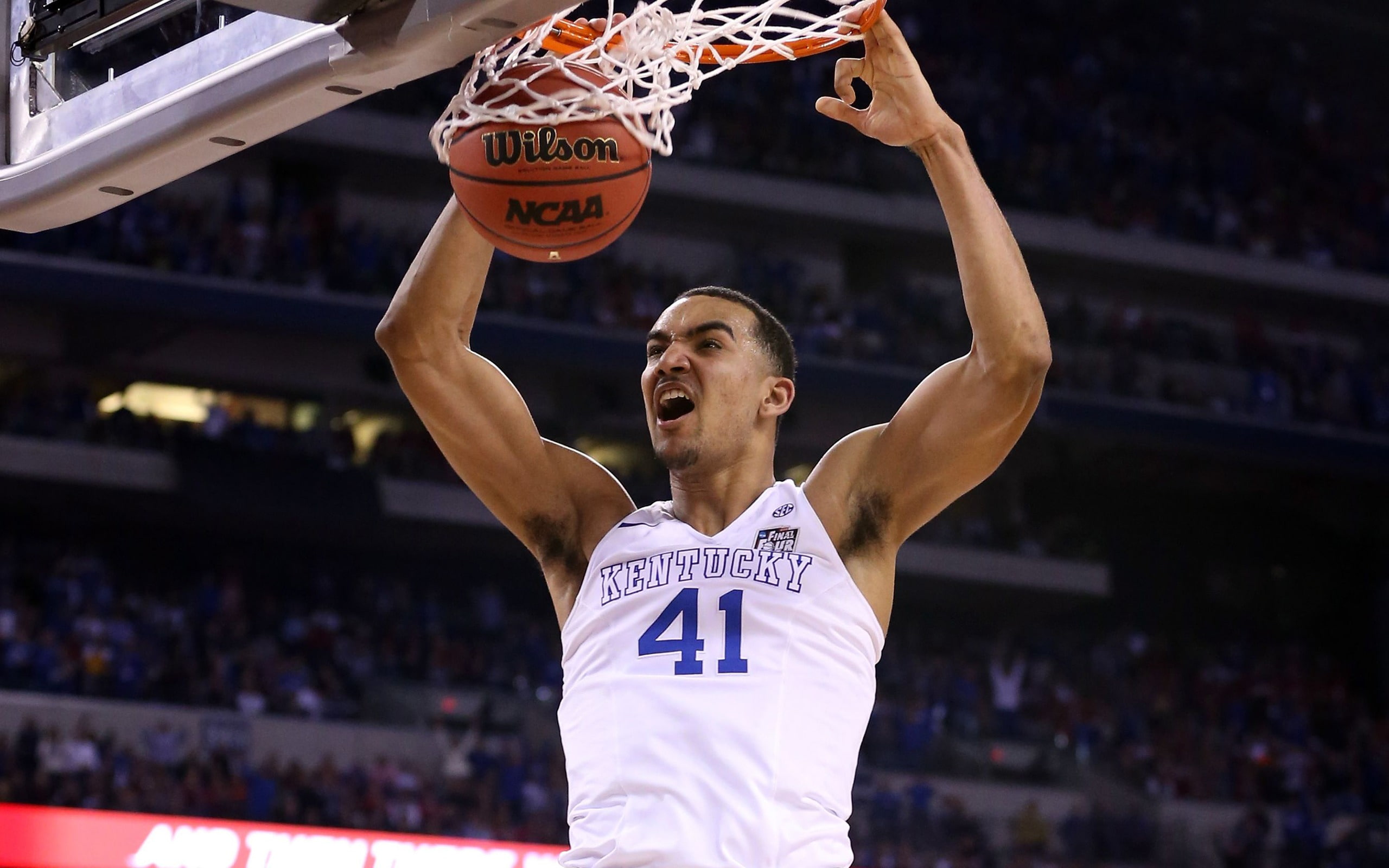 human arm, clothing, body part, human limb, spectator, adult, nba, trey, lyles, effort, limb, 2K, vitality, one person, sportsman, wallpa, crowd, front view, HD Wallpaper
