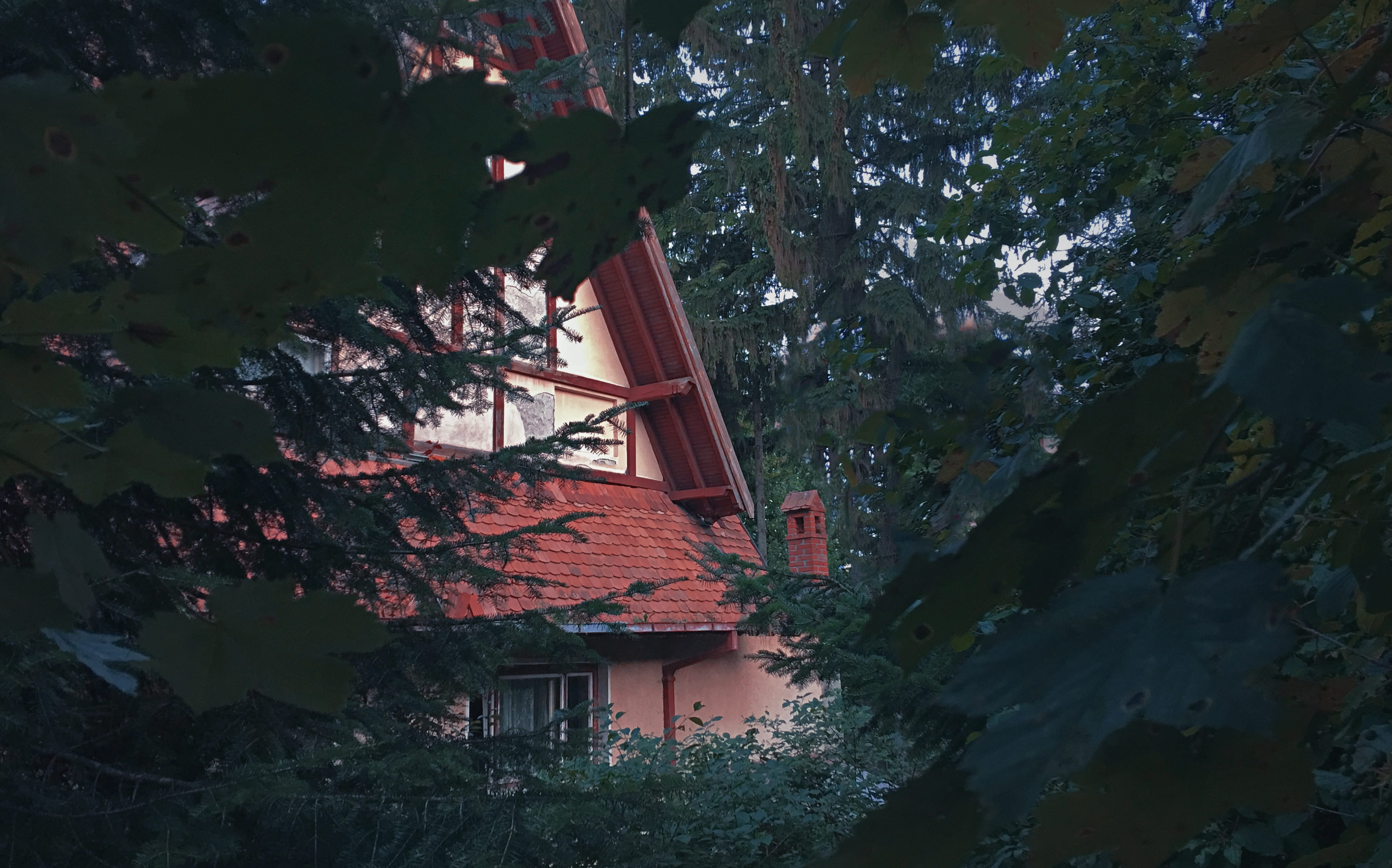 window, growth, building, cabin, outdoors, plant, strada trei brazi 13, architecture, residential district, built structure, jungle, moody, 2K, land, romania, HD Wallpaper