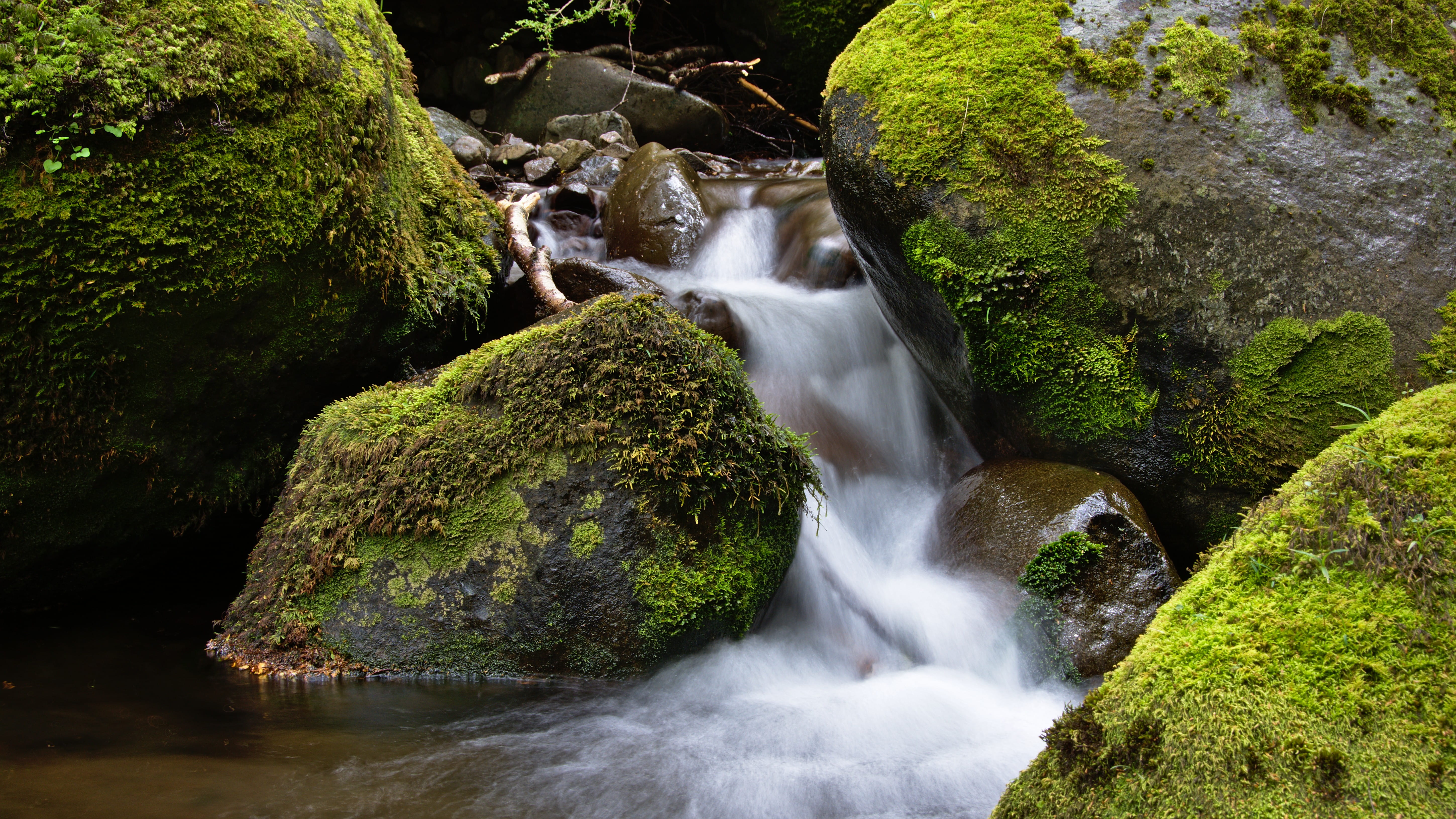 waterfall, plant, beaumont, solid, tree, stream, rocks, long exposure, outdoors, branches, soothing, smooth, motion, nature, water, calm, small, spence burn track, HD Wallpaper