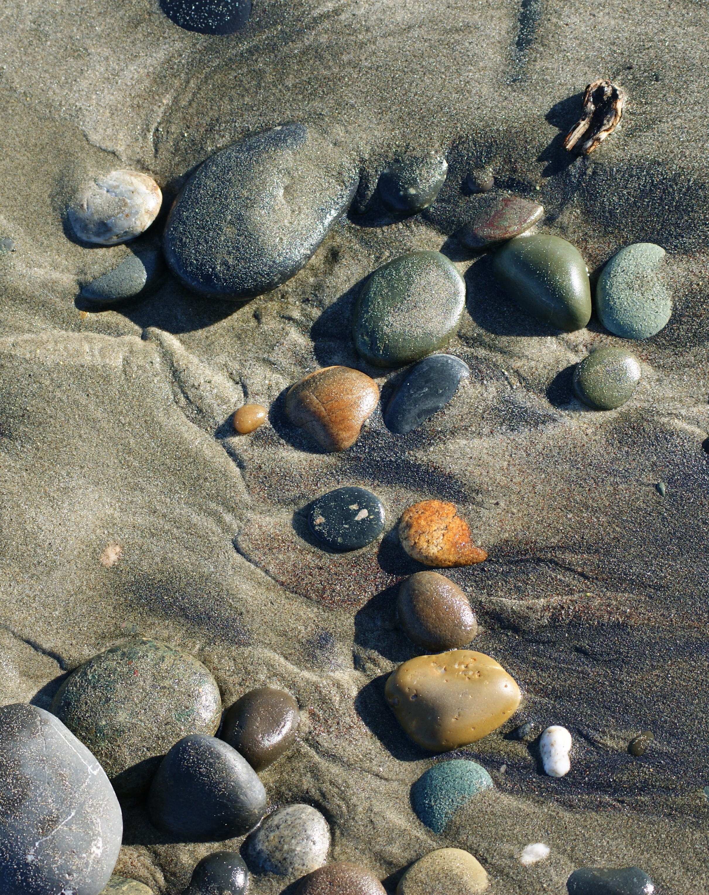 sea, surface level, water, high angle view, outdoors, day, seashell, rock - object, new zealand, beauty in nature, nature, solid, stone, pebble, 2K, southland, Phone HD Wallpaper