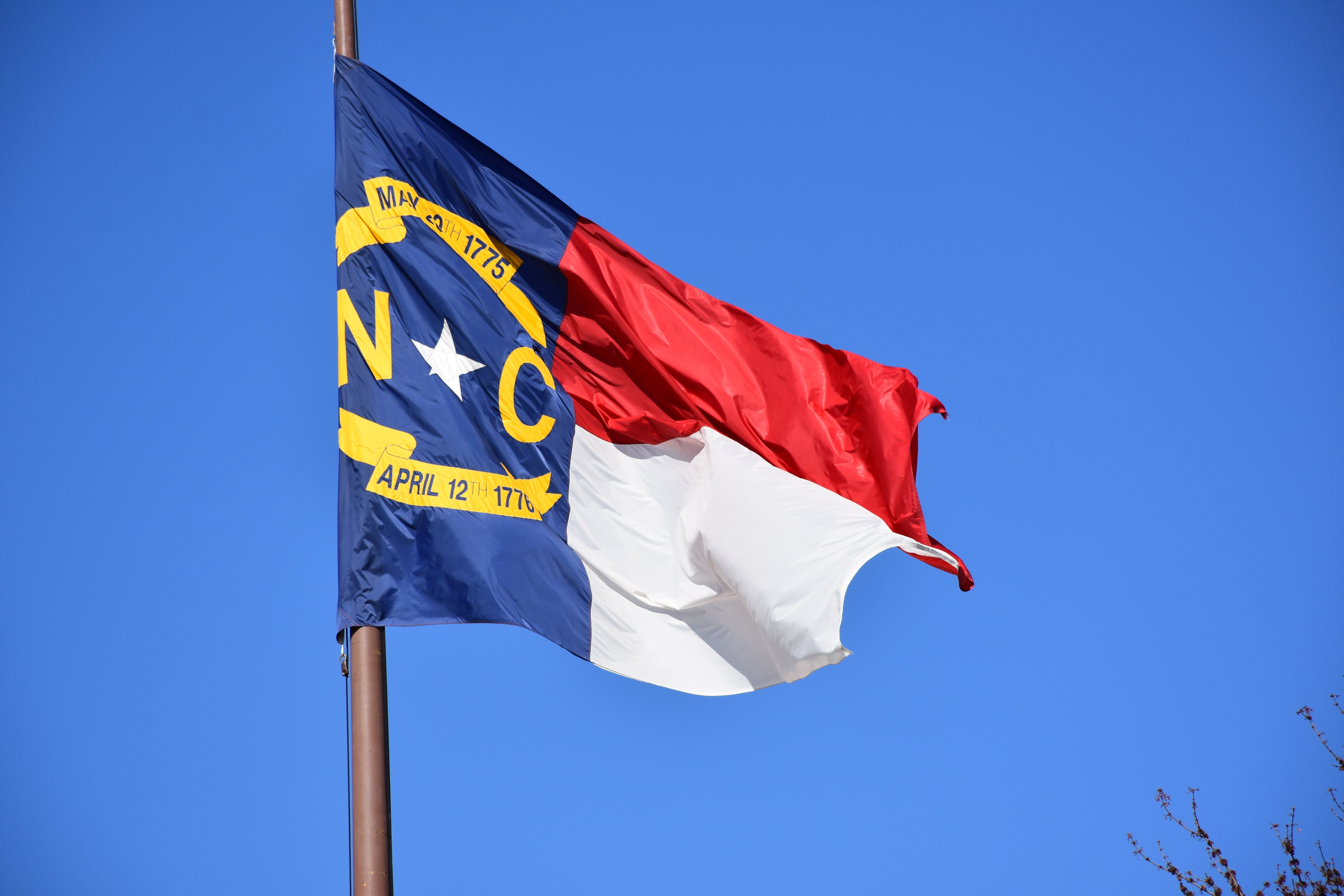 blue, day, state, outdoors, no people, clear sky, motion, sunny, nature, low angle view, carolina, patriotism, 5K, nc, waving, wind, environment, pole, HD Wallpaper