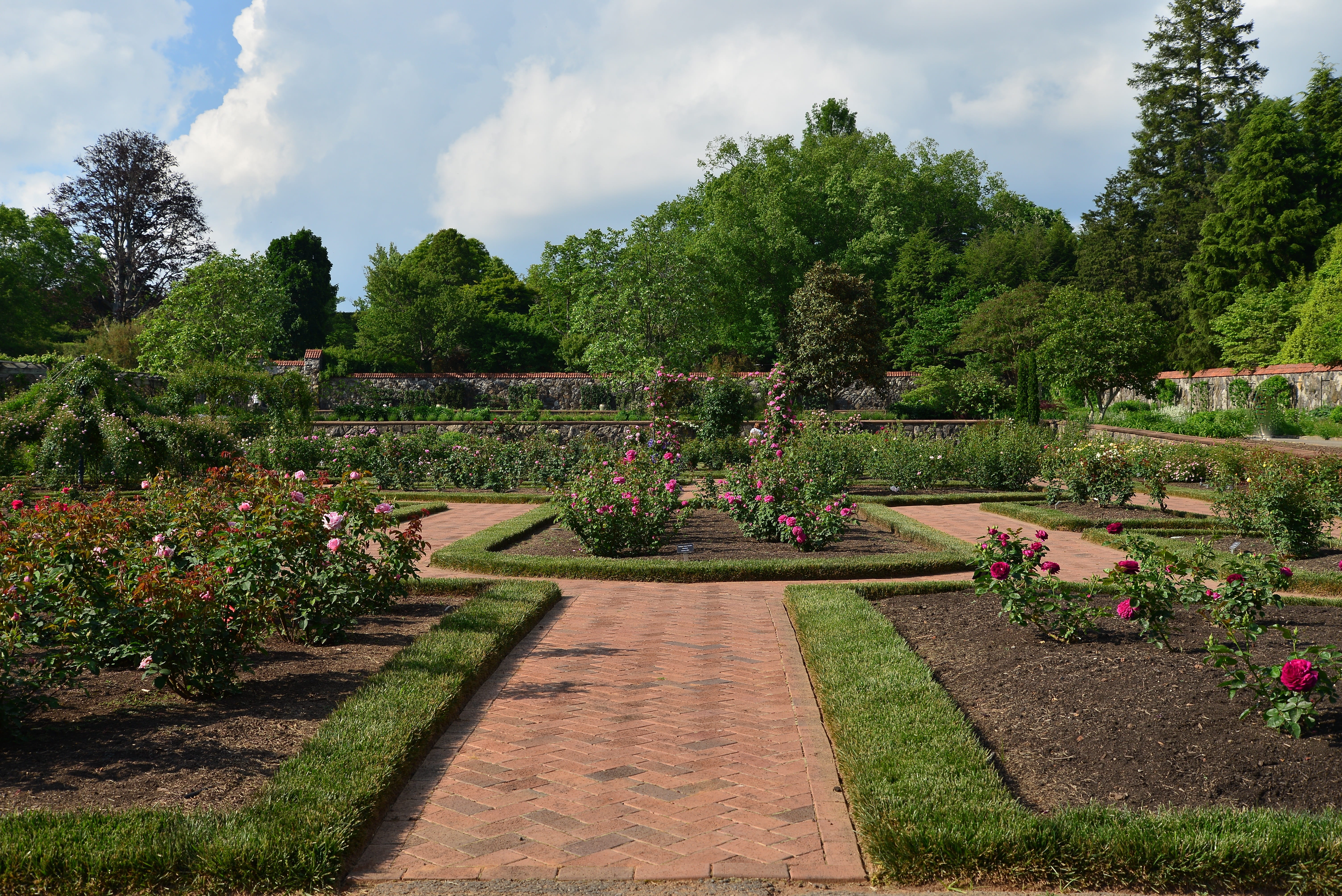 plant, landscape, ornamental garden, sky, footpath, park - man made space, outdoors, cloud - sky, tranquility, nc, garden path, park, rose, beauty in nature, HD Wallpaper