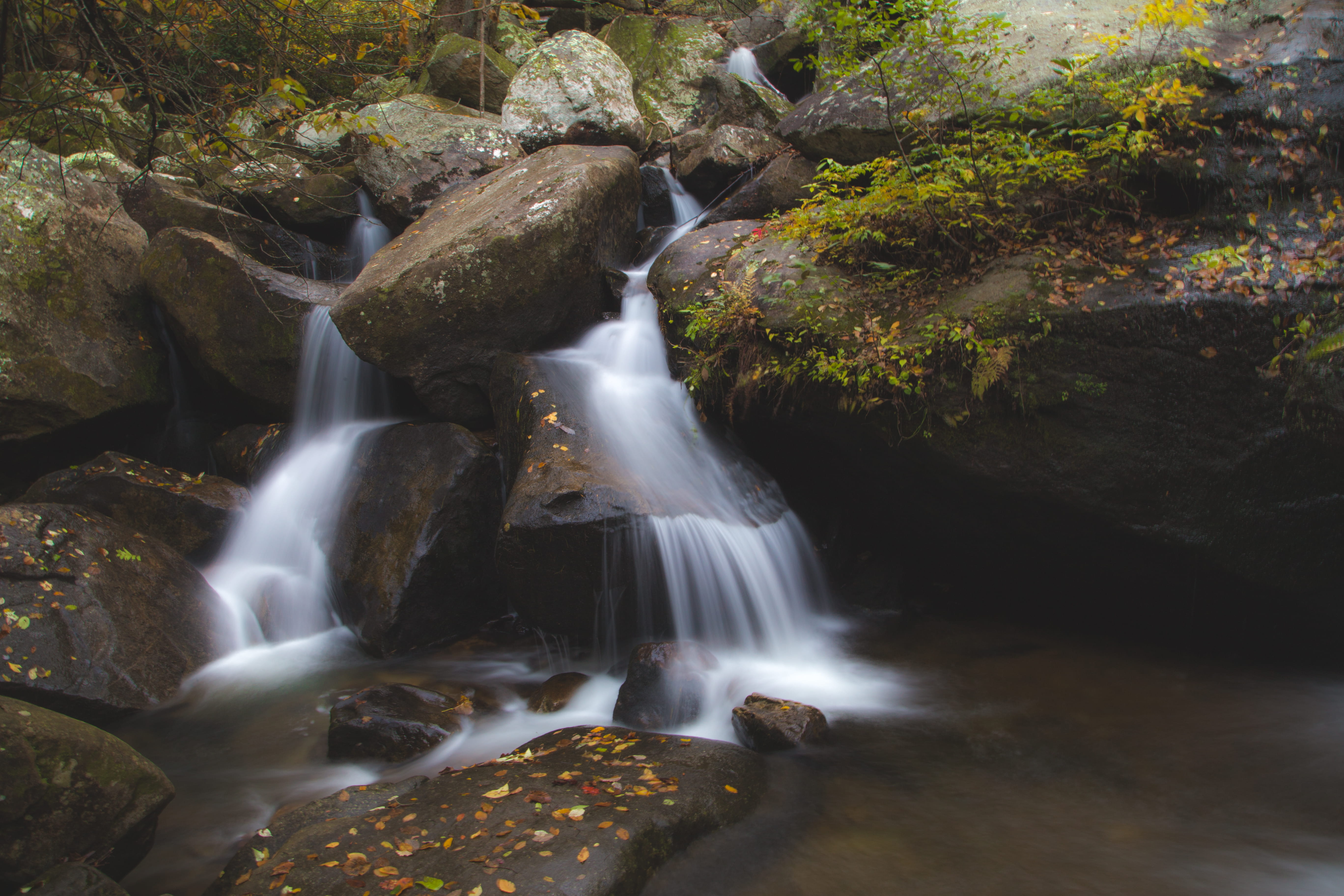 moss, flowing, nature, plant, falling water, stream - flowing water, water, waterfall, beauty in nature, refreshing, forest, rock - object, land, long exposure, HD Wallpaper