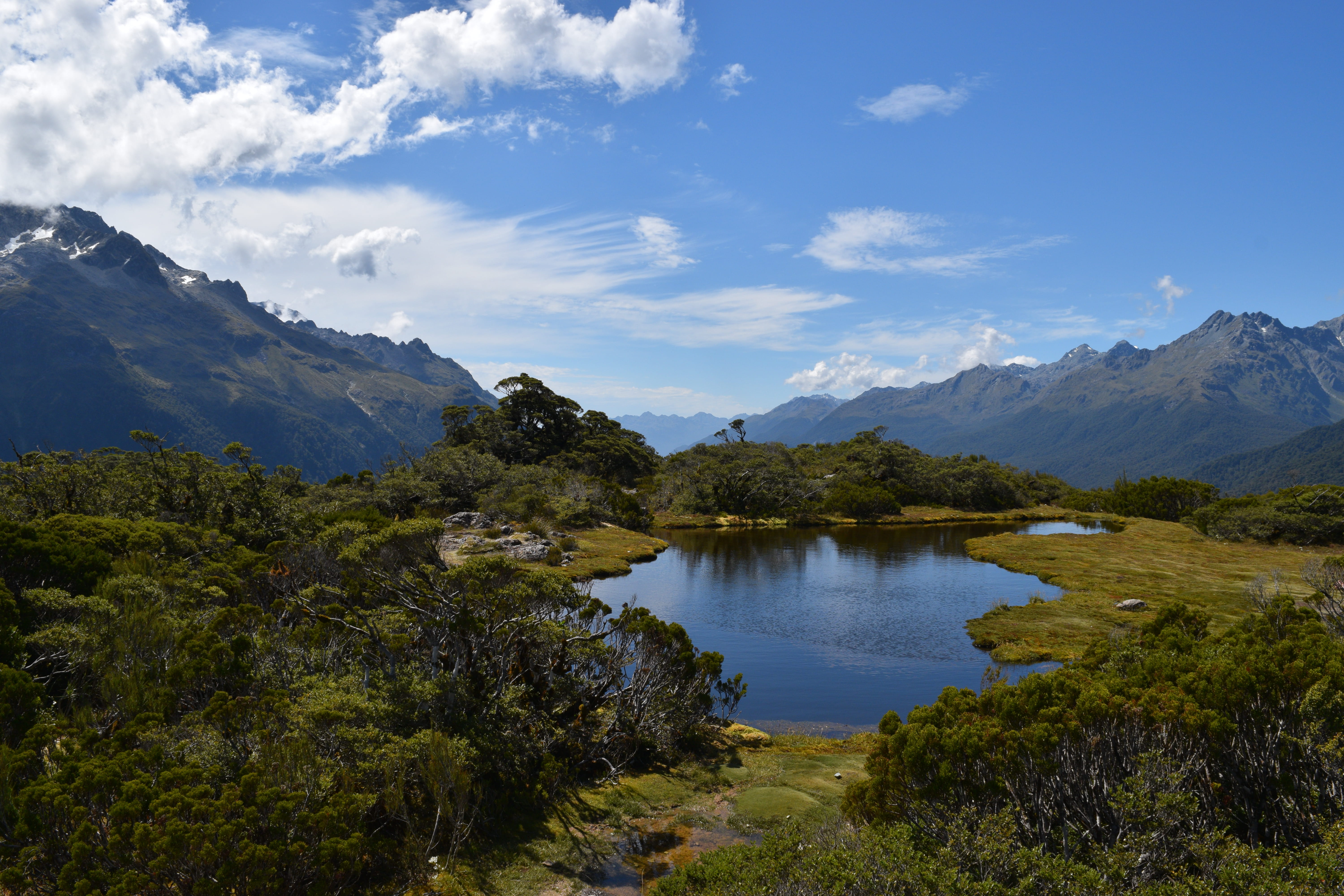plant, summit, new zealand, mountain, routeburn track, water, nature, reflection, beauty in nature, mountains, fiordland national park, green, 5K, outdoors, HD Wallpaper