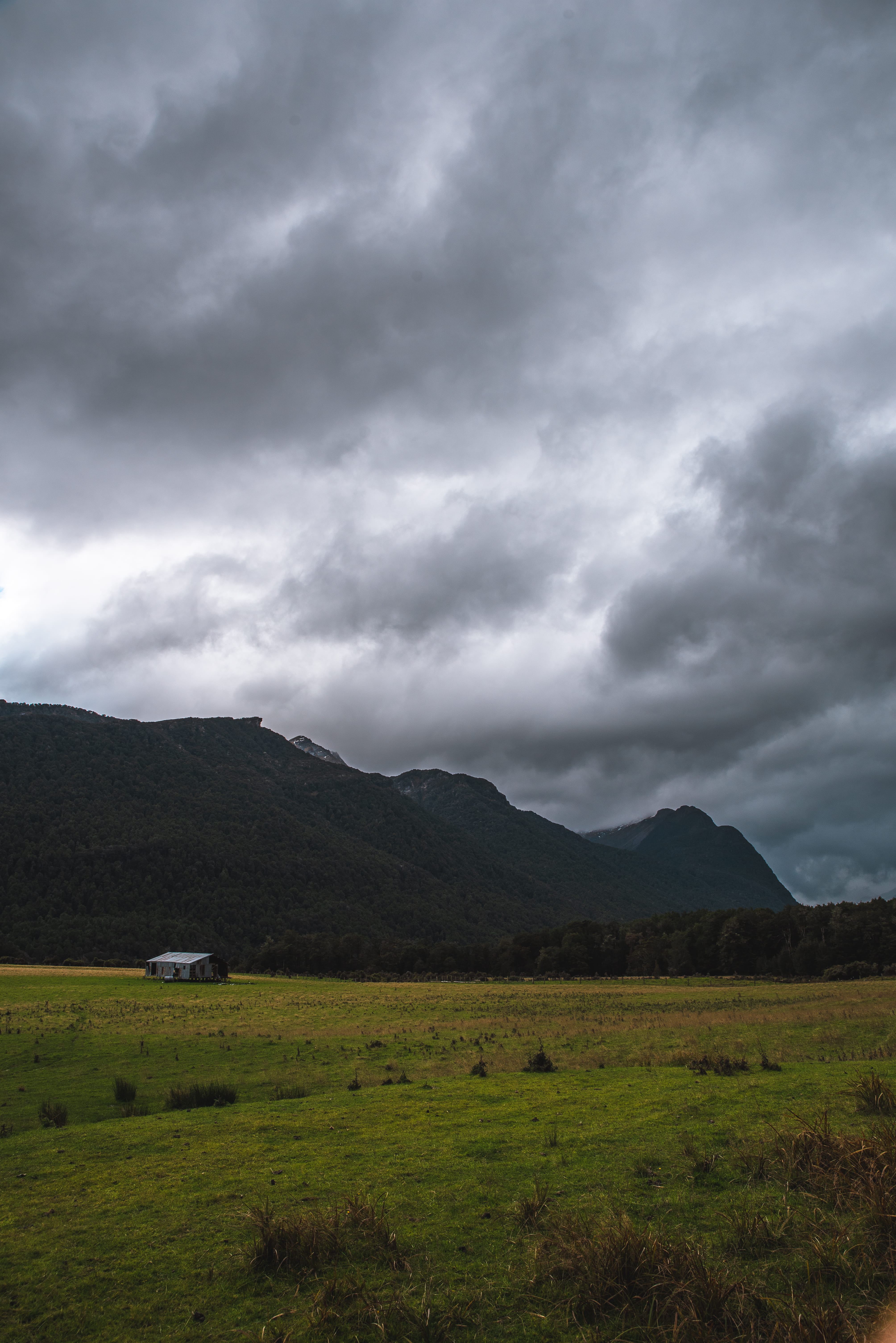 fiordland national park, mountains, clouds, tranquil scene, overcast, mountain range, 5K, landscape, trees, hike, storm, no people, photo, land, wanderlust, Phone HD Wallpaper