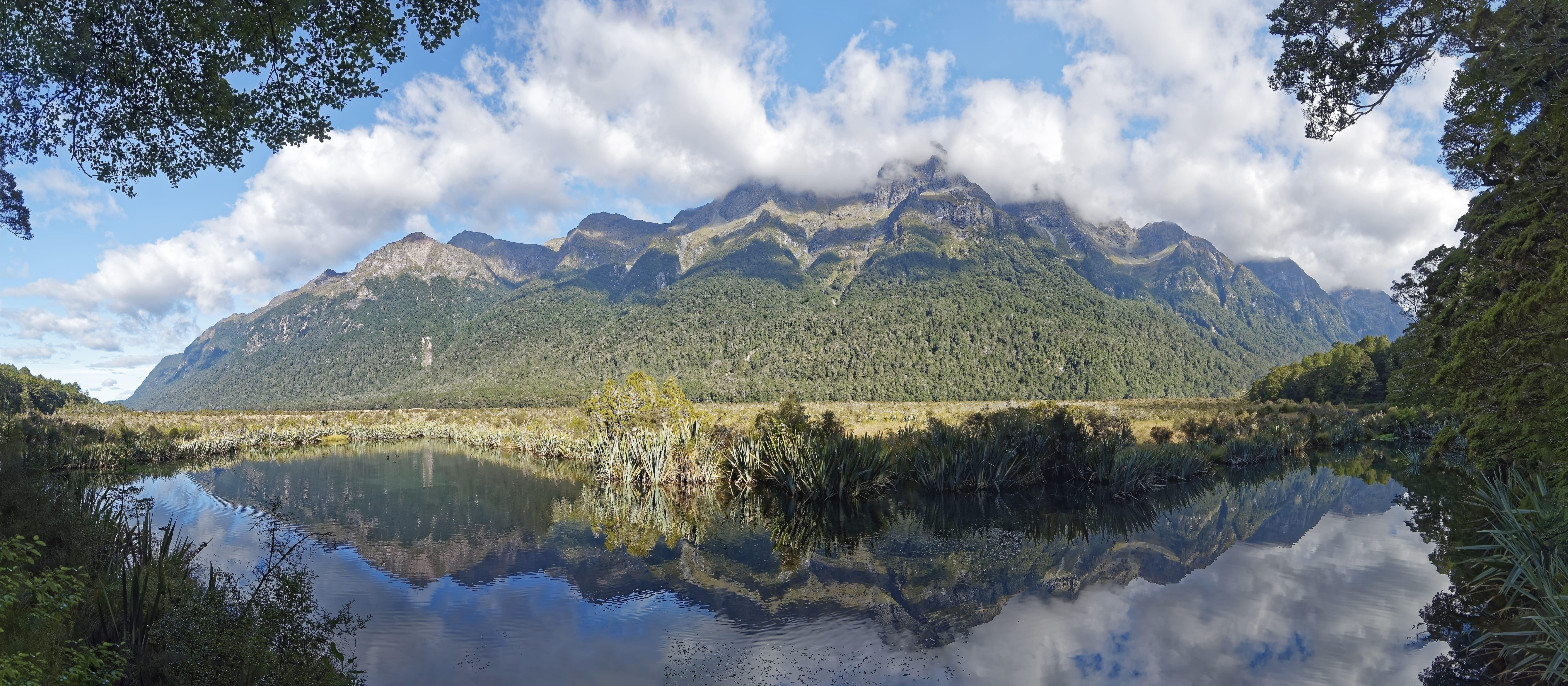 new zealand, mirror lake, plant, environment, travel, travel destinations, landscape, nature, waters, tree, pine woodland, tranquility, beauty in nature, HD Wallpaper
