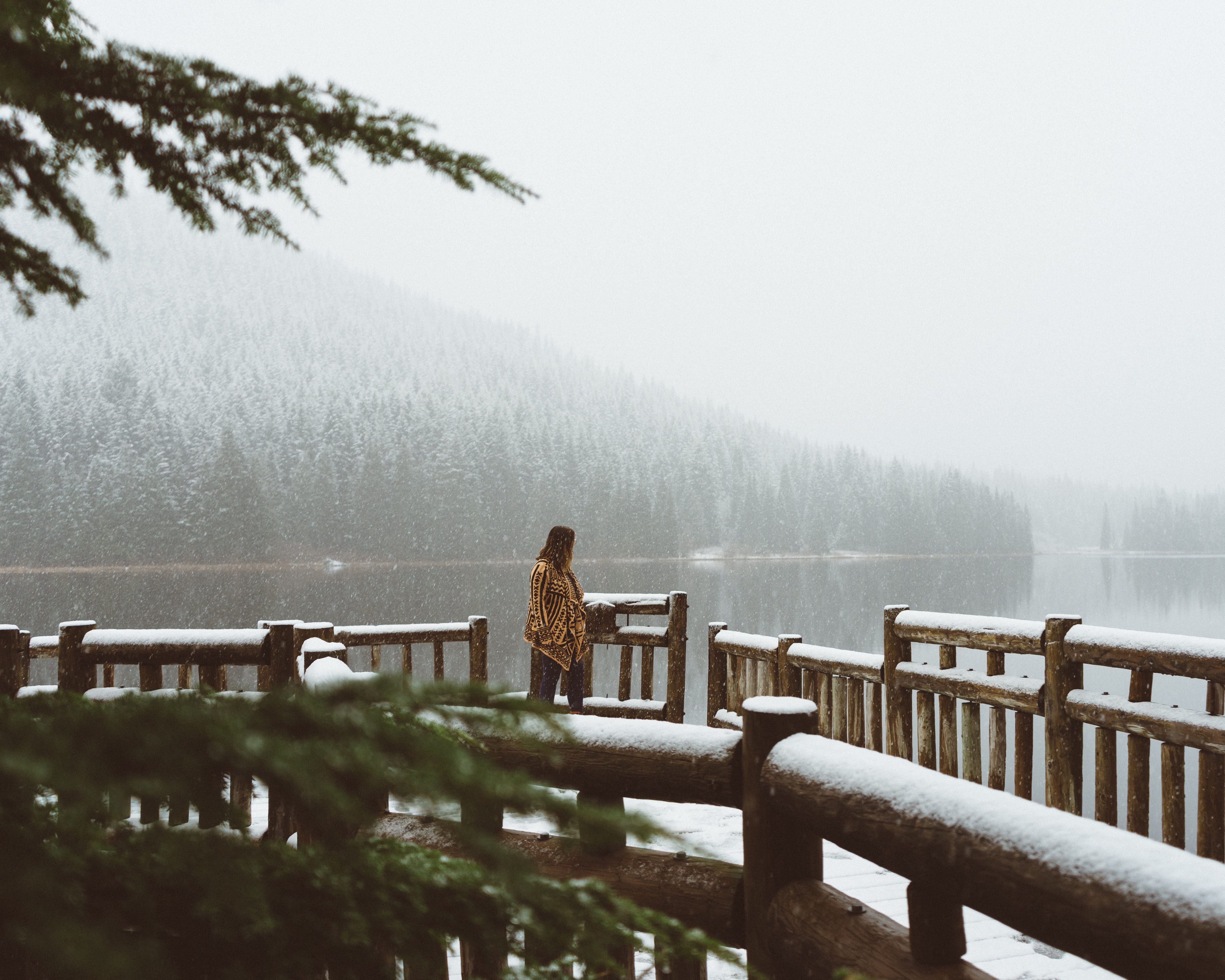 snow, rainy season, railing, plant, beauty in nature, scenics - nature, snowing, rain, tranquil scene, tree, nature, lake, seat, outdoors, winter, 4K, HD Wallpaper
