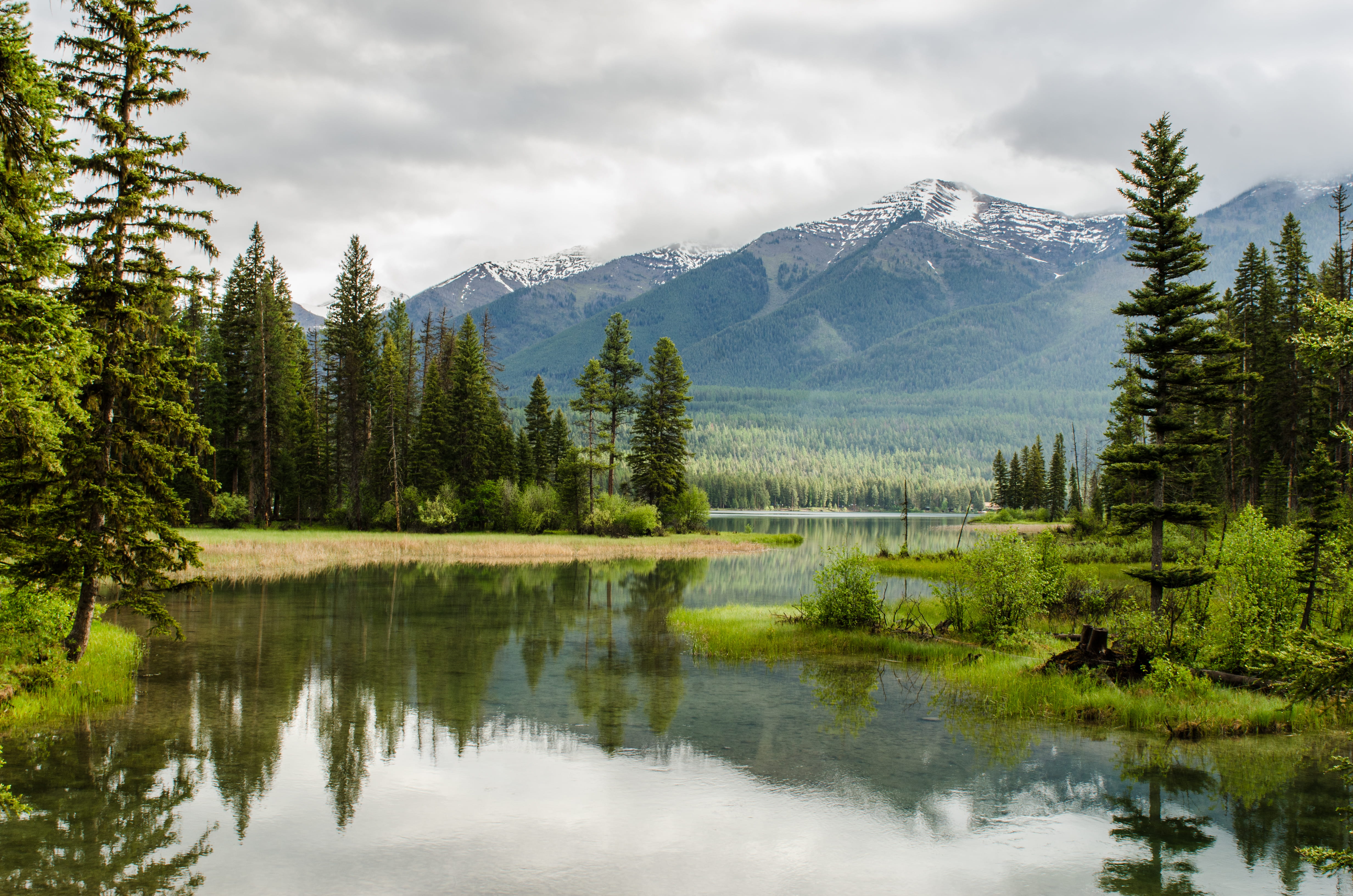reflection, coniferous tree, idyllic, waterfront, plant, 4K, non-urban scene, tranquility, mountians, green, sky, cloud - sky, forest, scenics - nature, HD Wallpaper