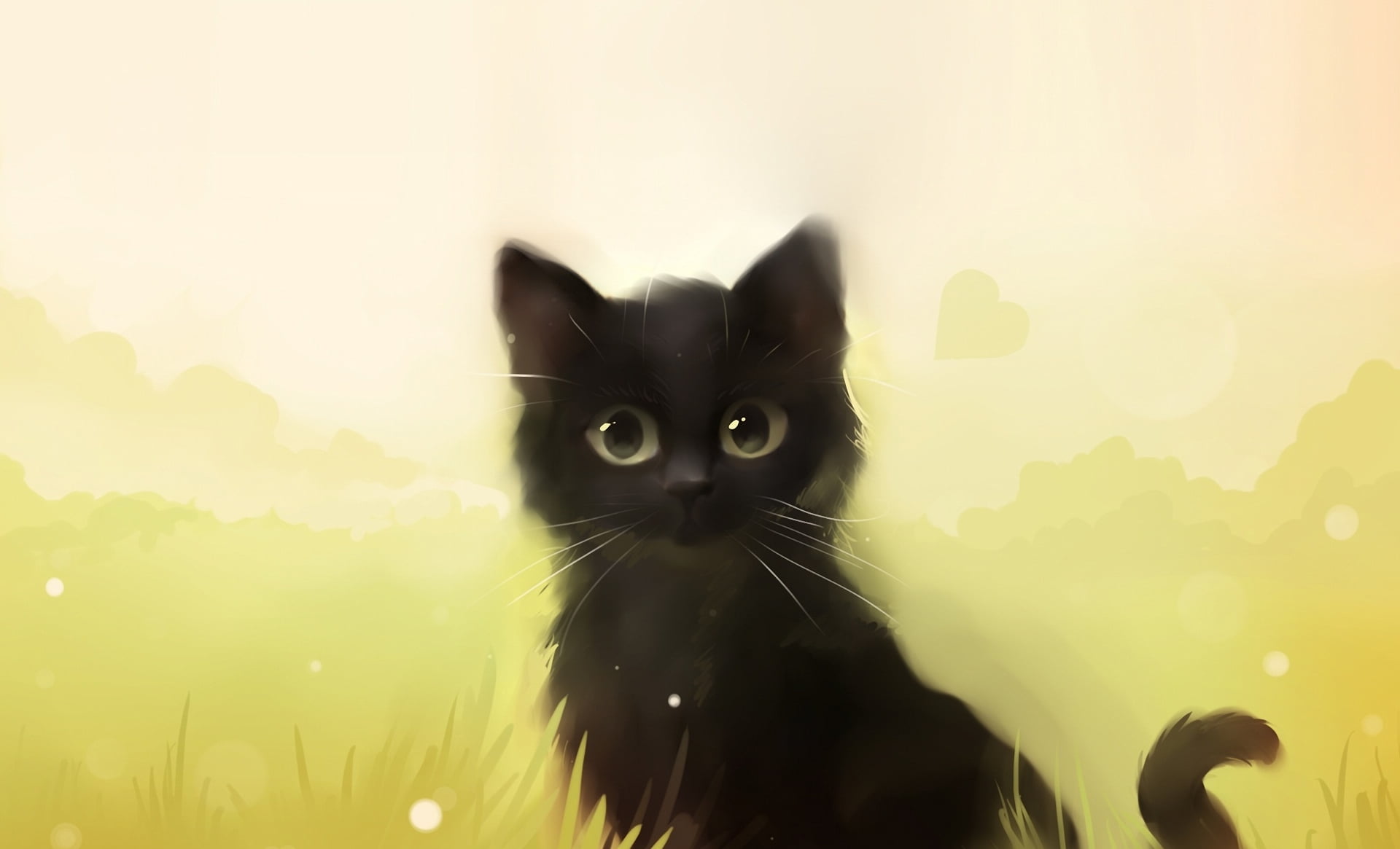 Apofiss, animal Eye, cute, black, young Animal, one animal, animal, domestic Cat, no people, close-up, outdoors, looking at camera, domestic, HD Wallpaper