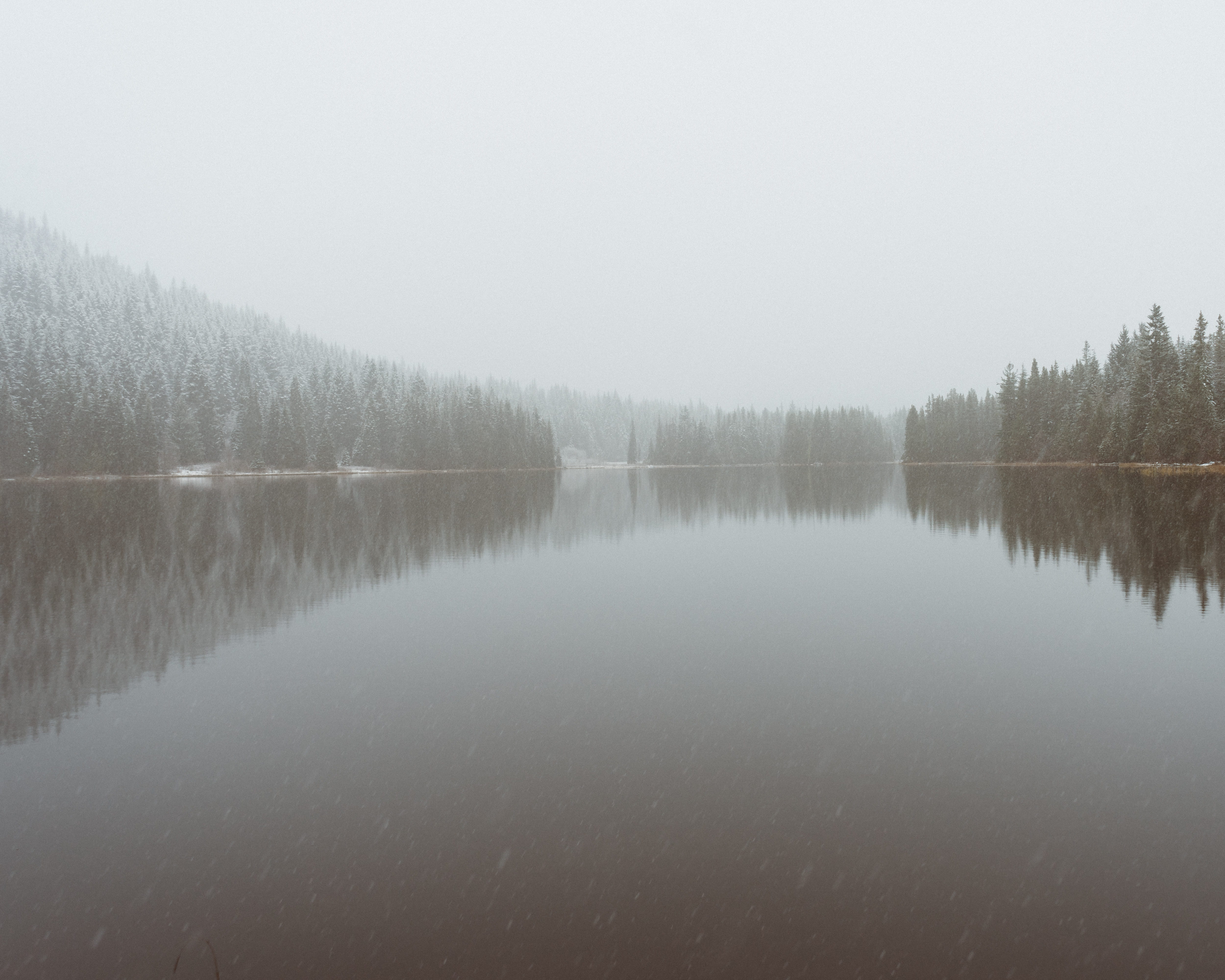 sky, no people, oregon, tranquil scene, usa, beauty in nature, outdoors, day, mt hood, tranquility, snow, reflection lake, plant, nature, copy space, reflection, HD Wallpaper