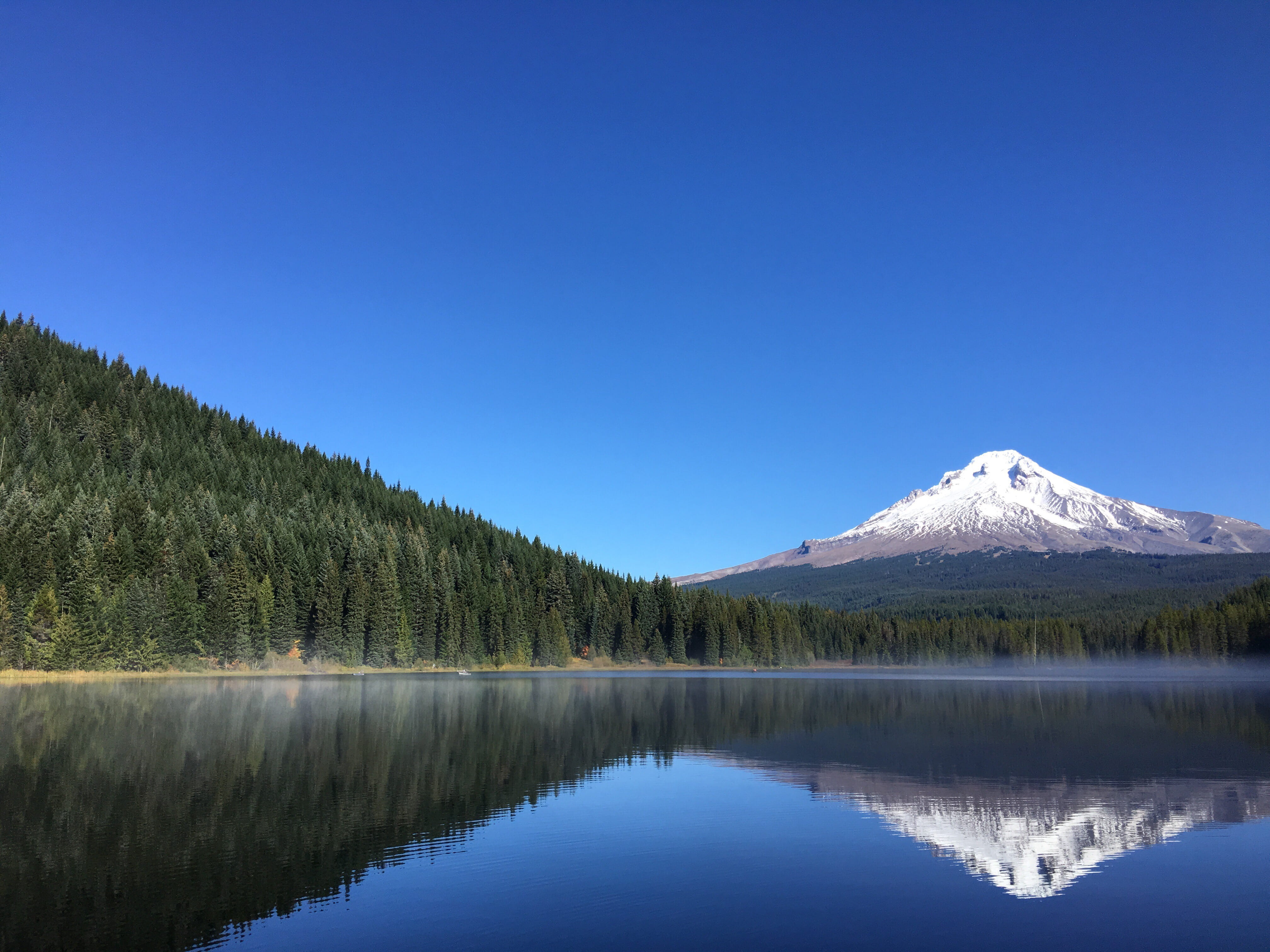 clear sky, winter, mountain peak, fog, mountain range, trees, snowcapped mountain, trillium lake, tranquility, snow, reflection, sky, mountain, plant, blue, HD Wallpaper