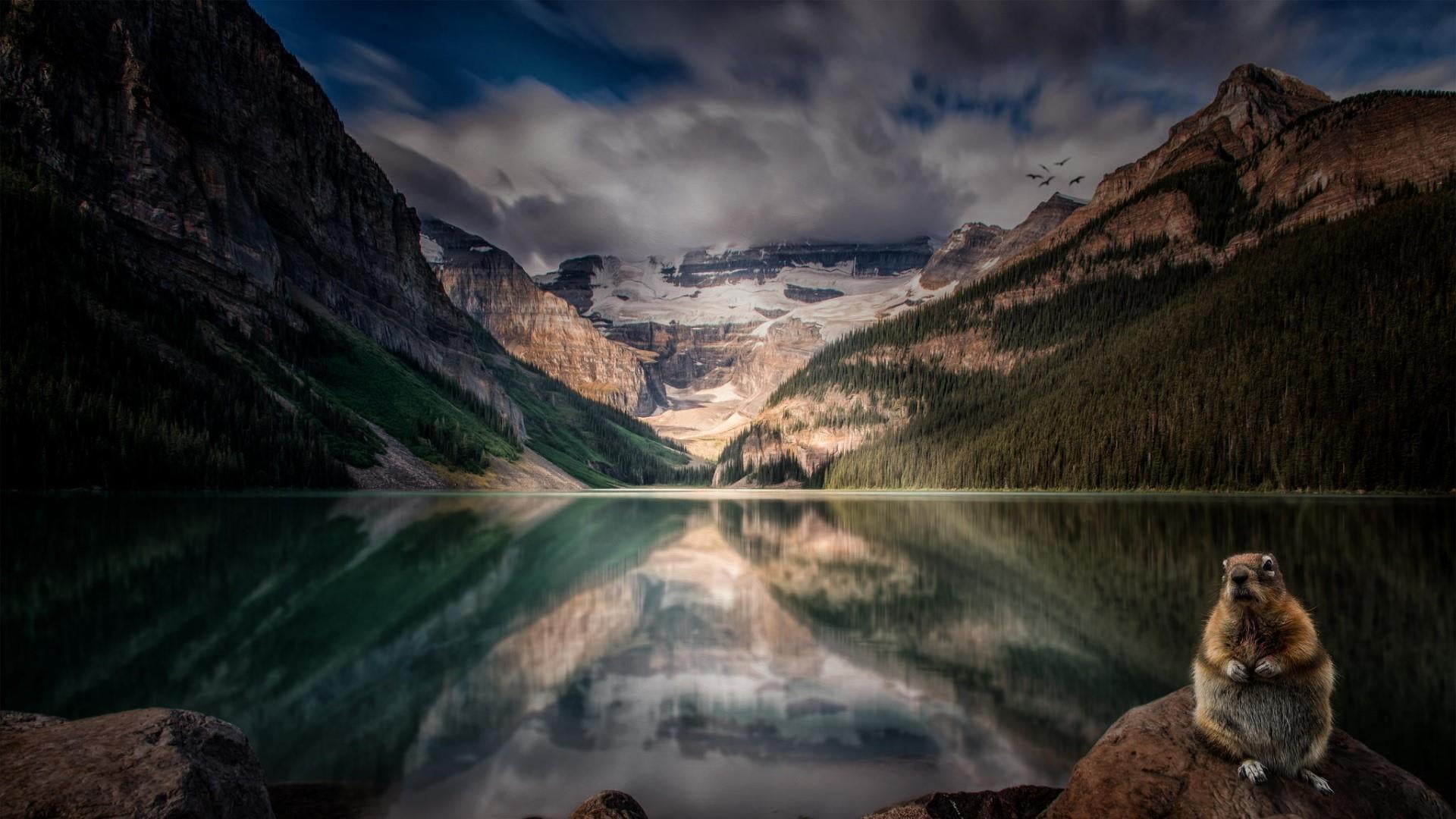 solid, reflection, canada, rock, national park, mammal, banff national park, reflected, mountain, lake louise, beauty in nature, formation, victoria glacier, HD Wallpaper