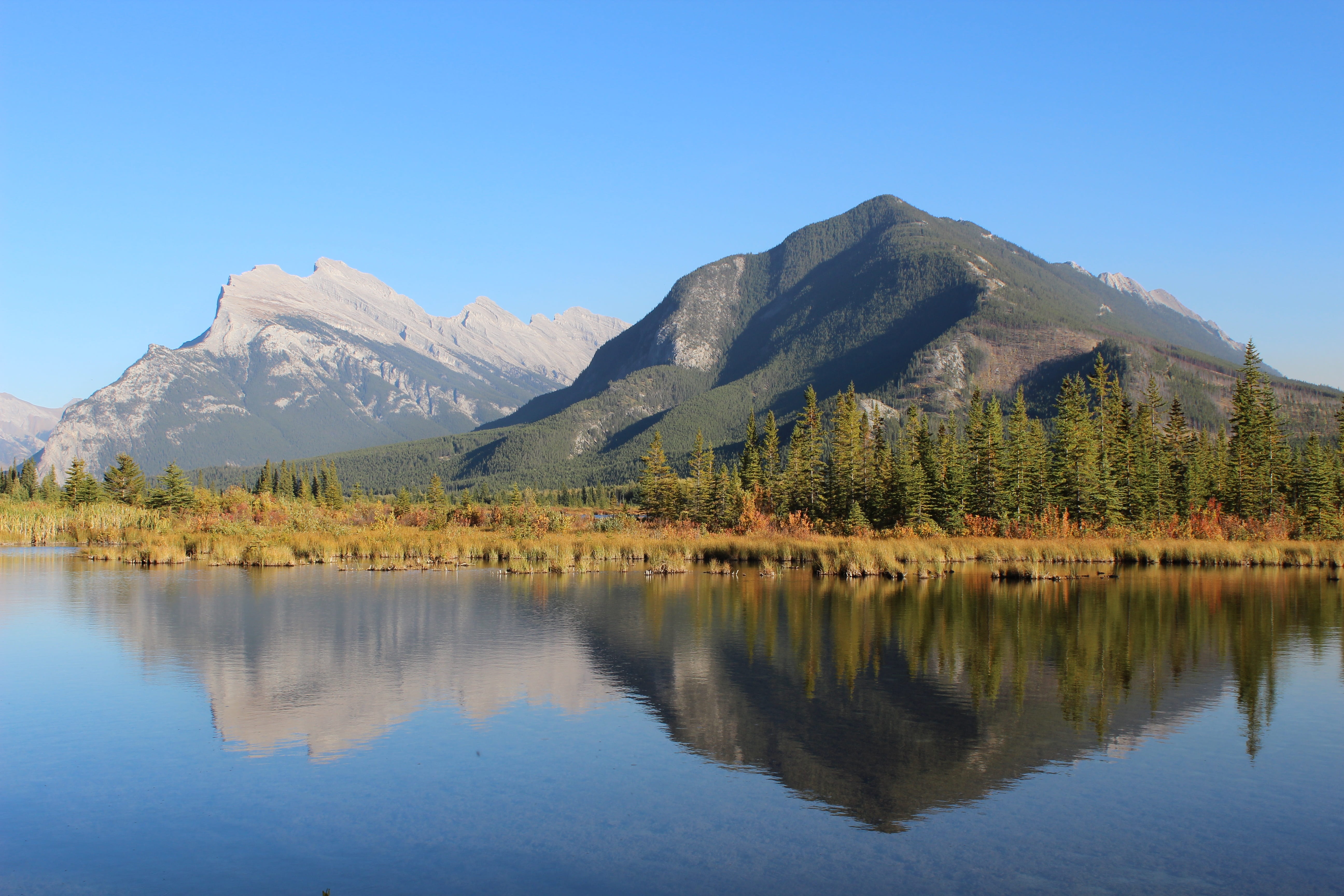 lake, front, 5K, plant, formation, tranquility, tree, alberta, mountain range, mountain peak, no people, quiet, nature, banff, tranquil scene, idyllic, HD Wallpaper
