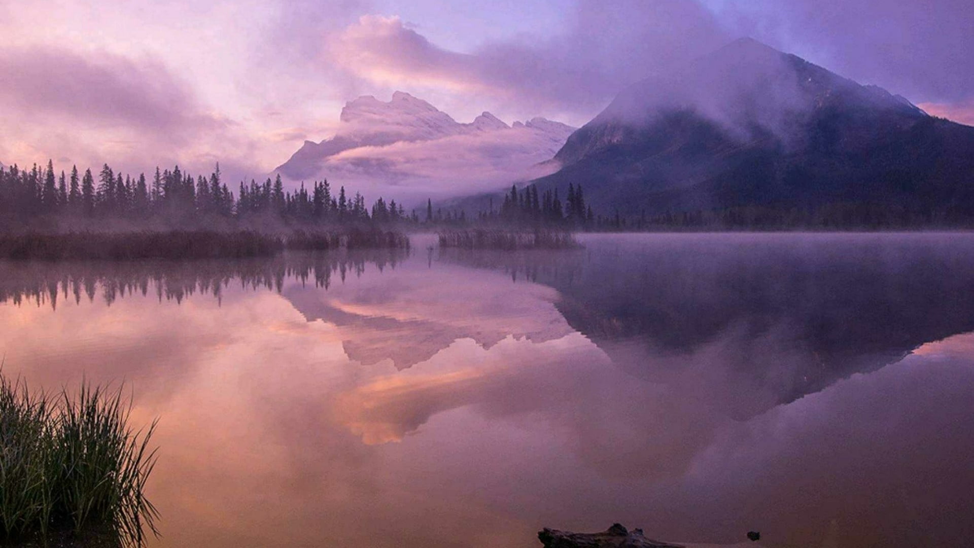 mountain, tree, alberta, lake, plant, reflection lake, vermilion lakes, tranquil scene, scenics - nature, environment, morning, no people, sky, nature, HD Wallpaper