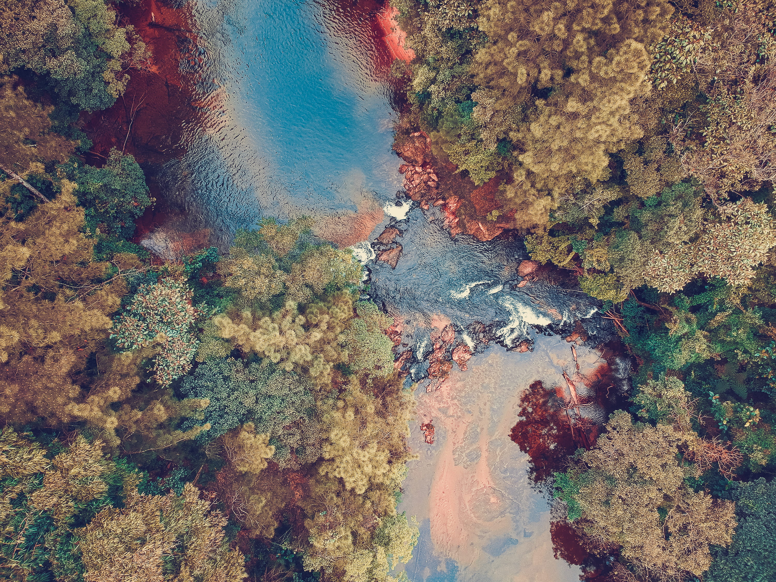 beauty In Nature, 2K, lake, aerial view, river, explore, serjosoza, drone view, jamil, from above, trees, forest, saopaulo, blue, forest by the lake, outdoors, HD Wallpaper