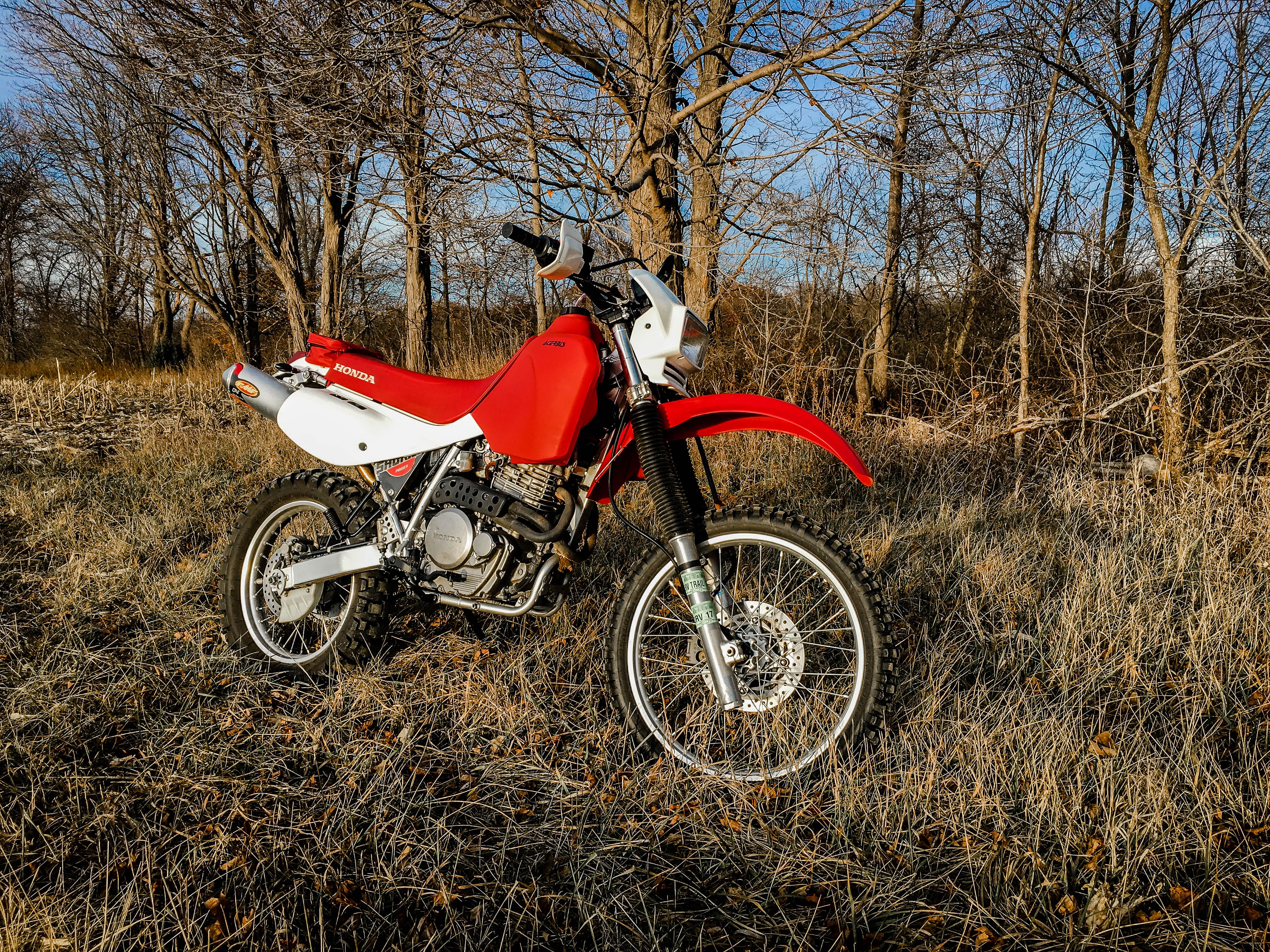 forest, land vehicle, motorcycle, bare tree, travel, outdoors, corn field, transportation, united states, day, field, allendale charter township, honda, HD Wallpaper