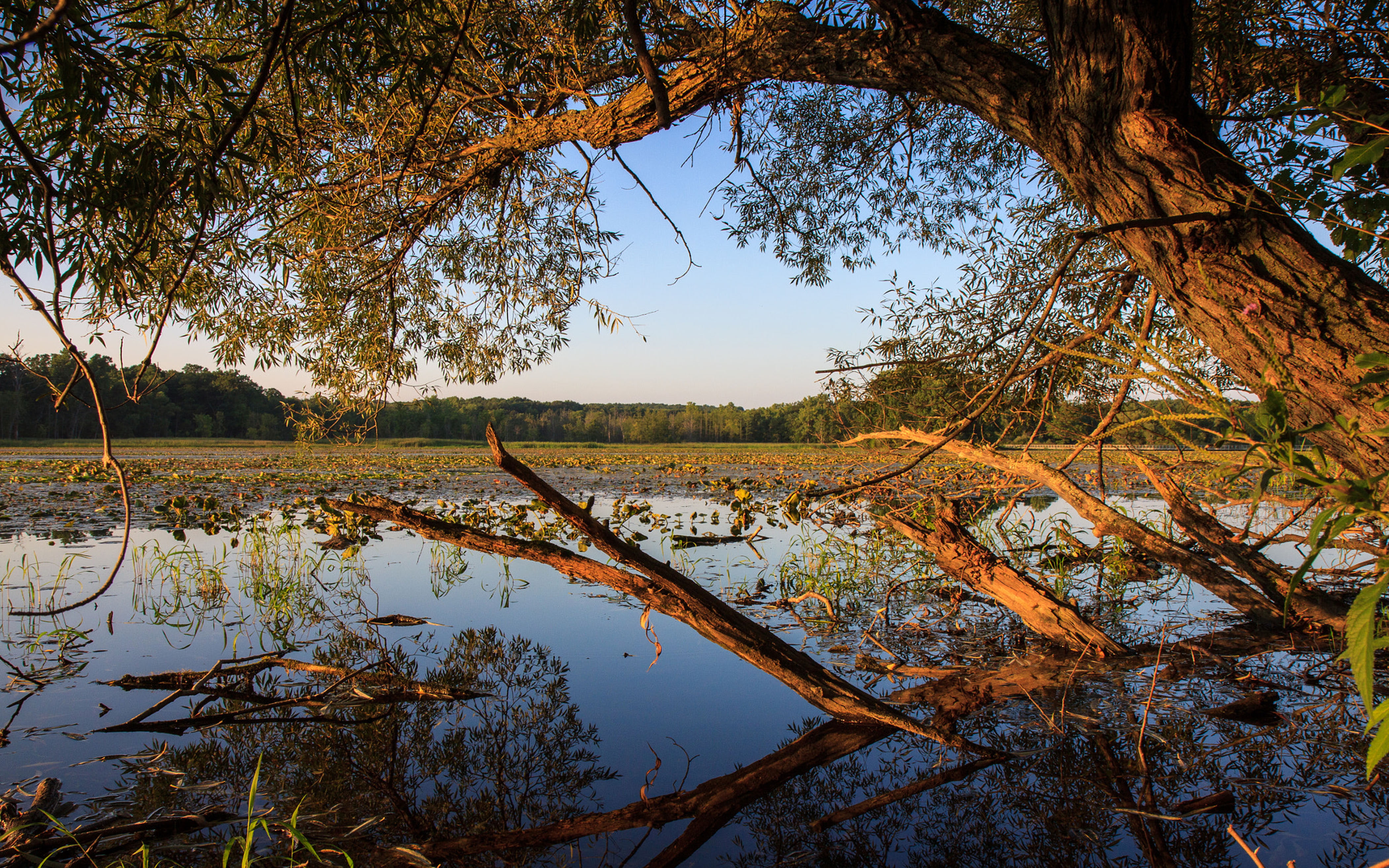 united, township, michigan, desktop, state, county, nature, 4K, landscape, states, milford, america, oakland, HD Wallpaper