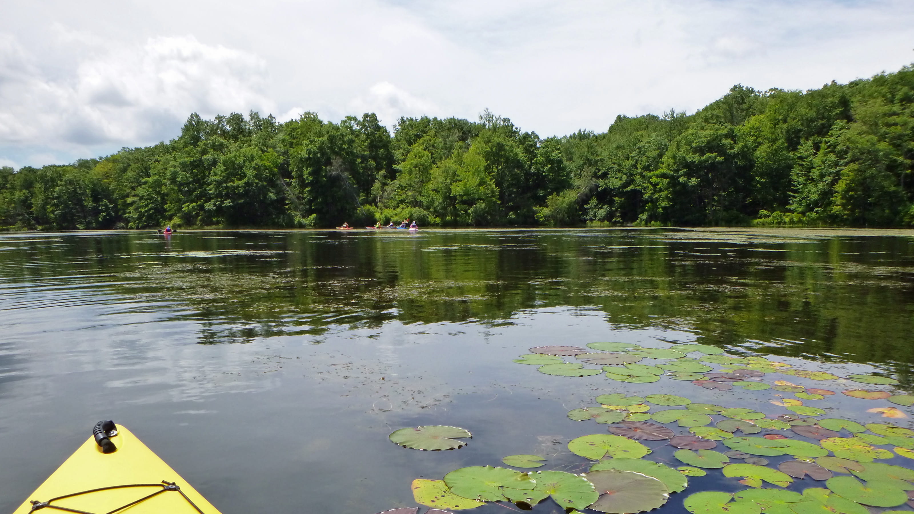 kayaking, 2K, cloud pictures, new, paddling, morris, lake images, day, jersey, man, kayaker, plant, sky, tree, non-urban scene, cloud - sky, splitrock reservoir, HD Wallpaper