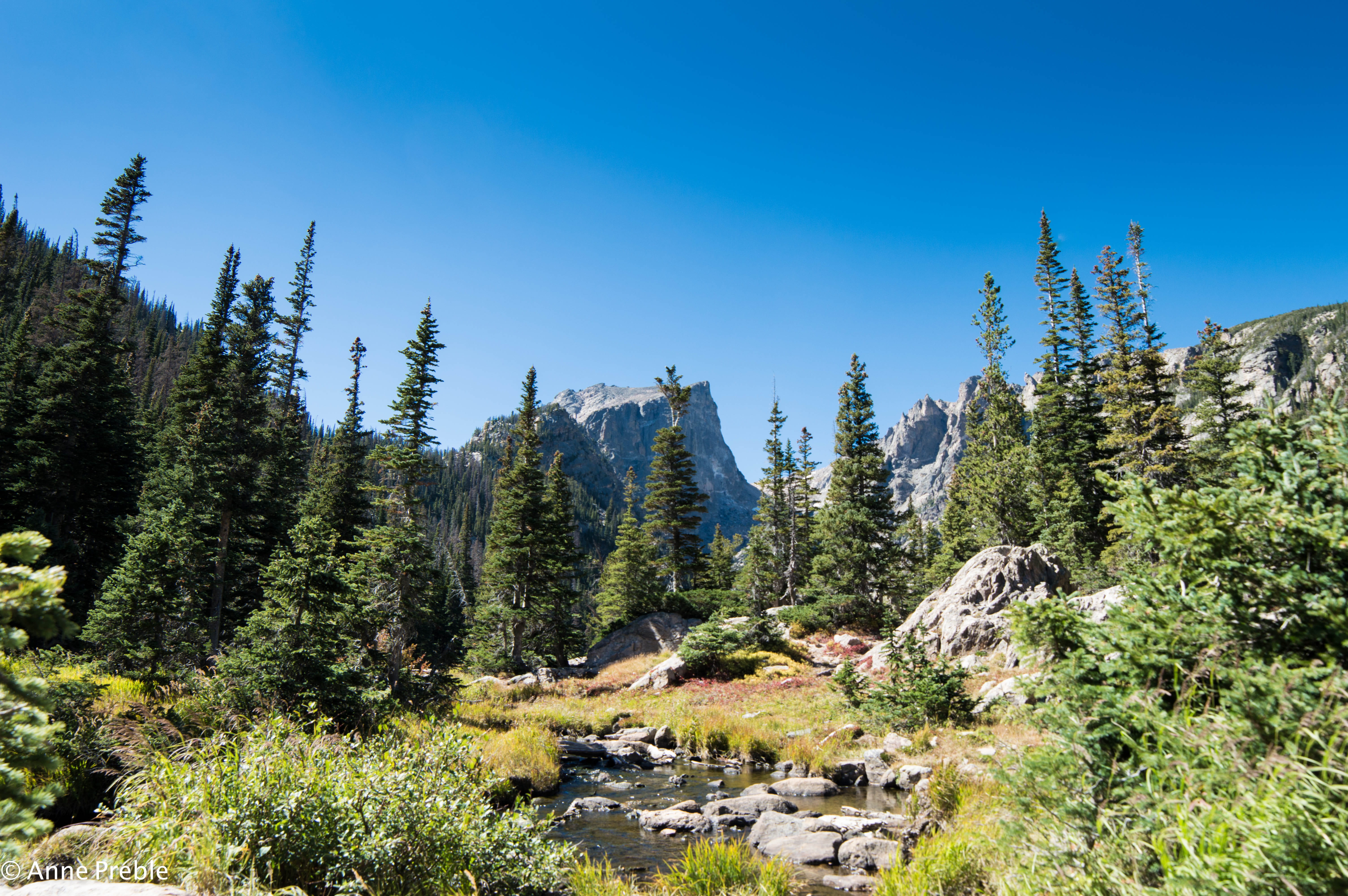 national parks, non-urban scene, no people, colorado, land, blue, scenics - nature, plant, tree, tranquil scene, coniferous tree, wilderness, mountains, HD Wallpaper