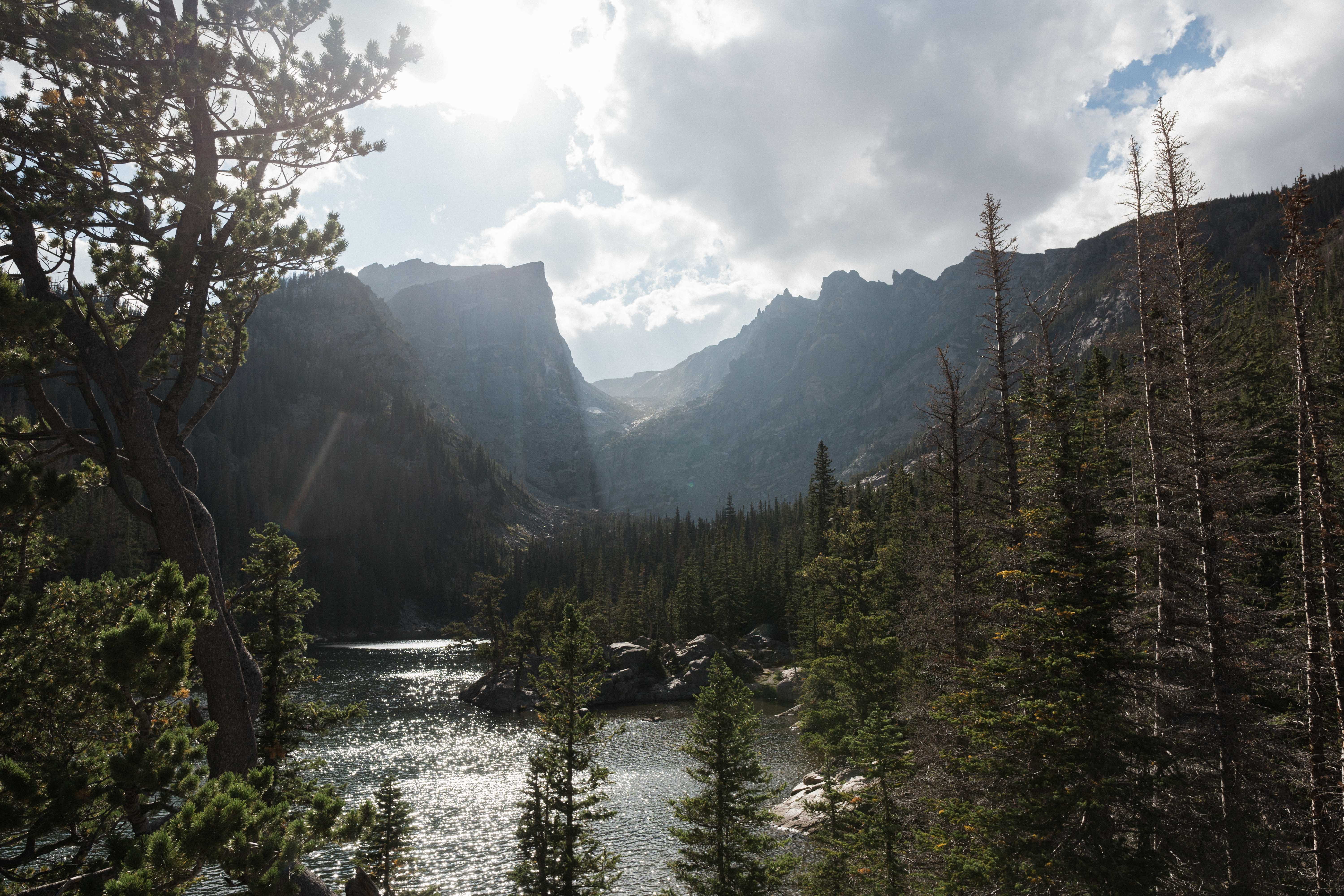 pine tree, woodland, sky, park, tranquil scene, background, river, scenics - nature, plant, cloud - sky, united states, outdoors, estes park, HD Wallpaper