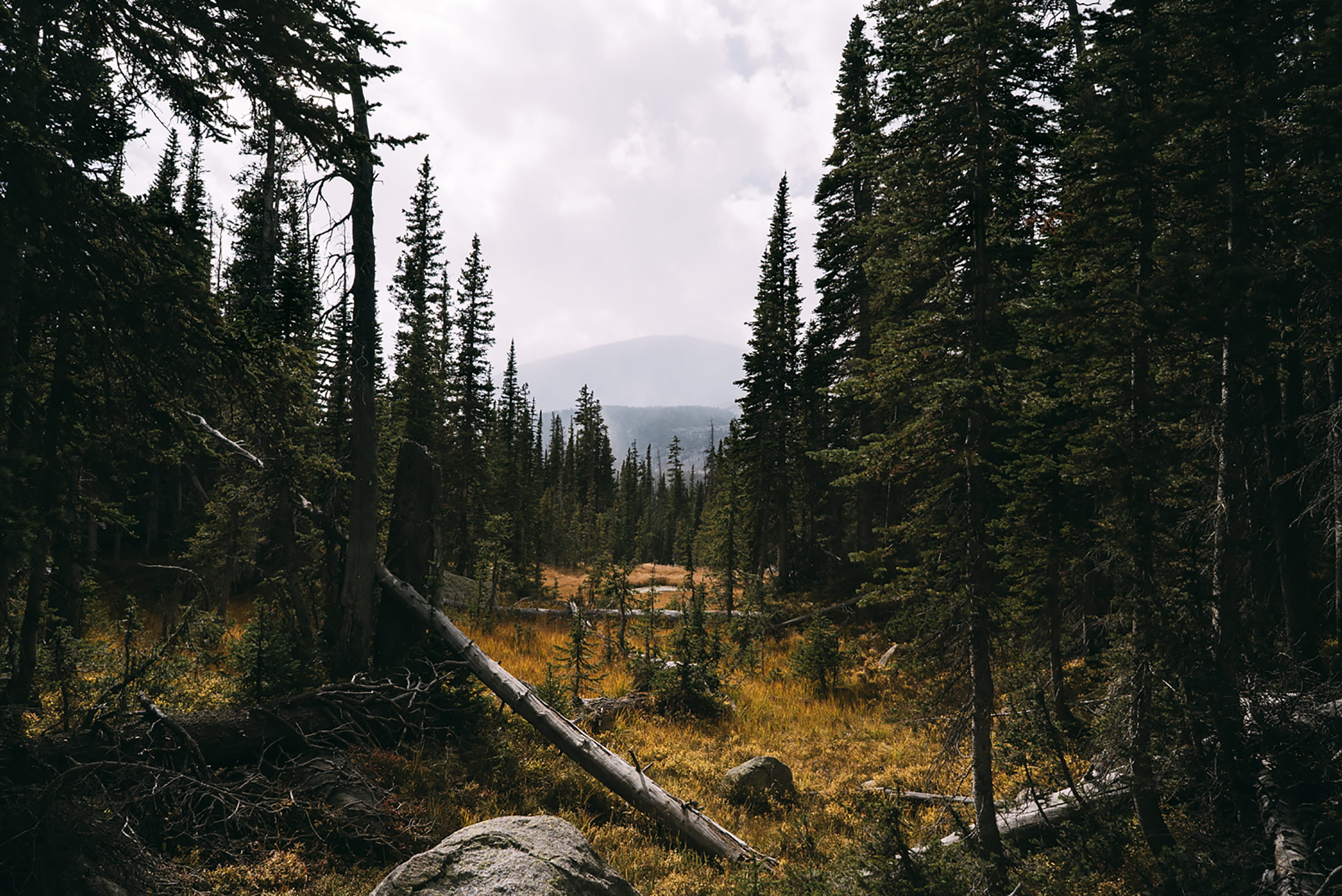 colorado, beauty in nature, scenics - nature, tranquility, 2K, trees, growth, united states, tree, no people, transportation, outdoors, day, storm, sky, HD Wallpaper