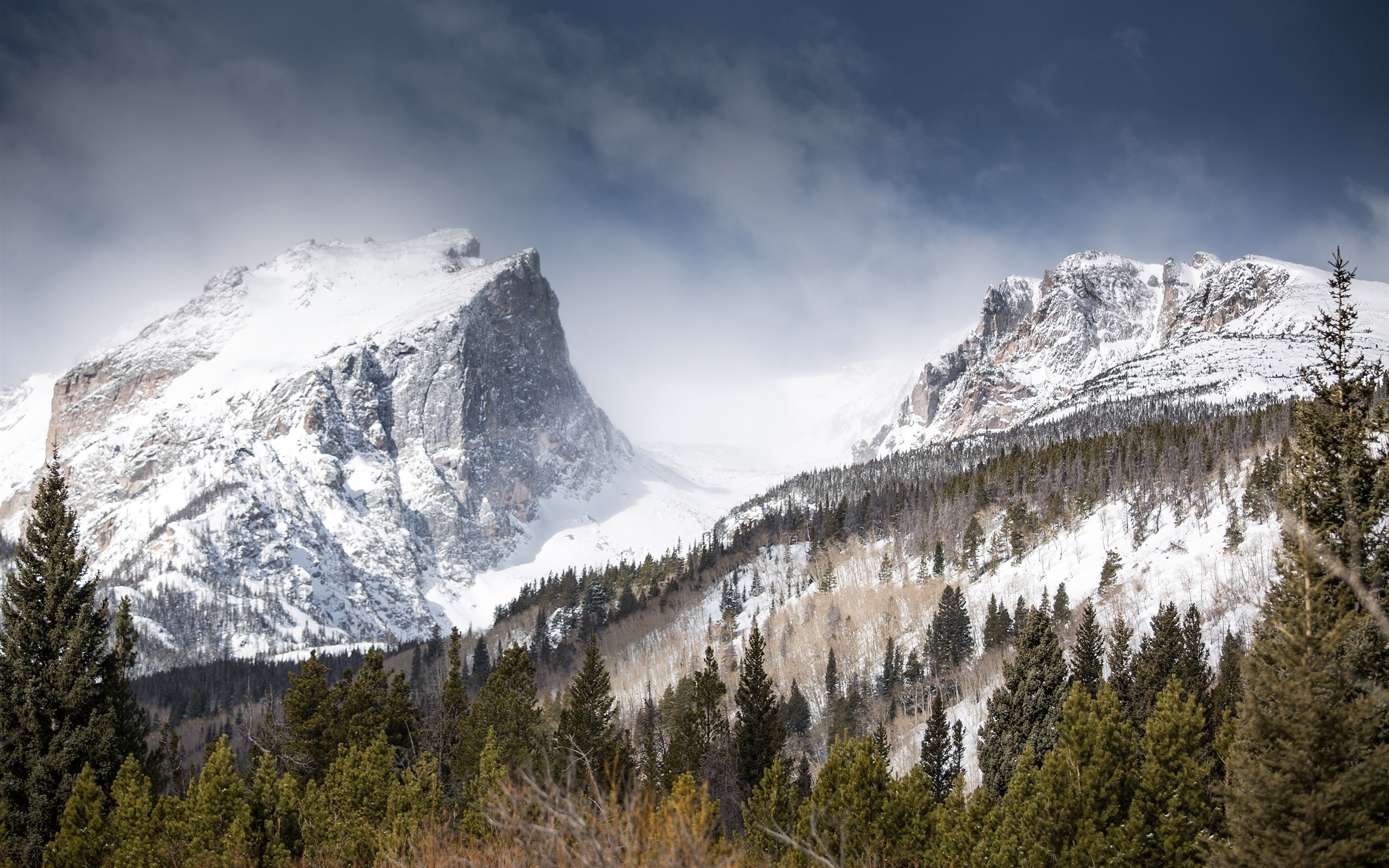 Trees, Hallett, Snow, Winter, Mountains, Peak, 2K, HD Wallpaper