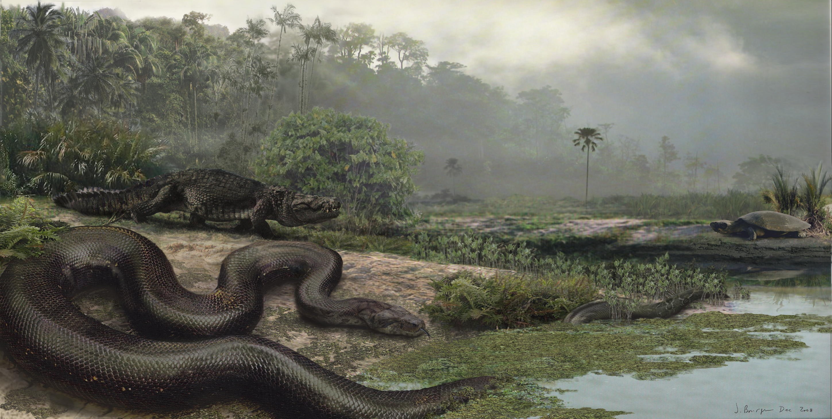 snake, fog, water, day, outdoors, animal wildlife, crocodile, animal, no people, tree, river, animals in the wild, vertebrate, reptile, titanoboa, animal themes, HD Wallpaper