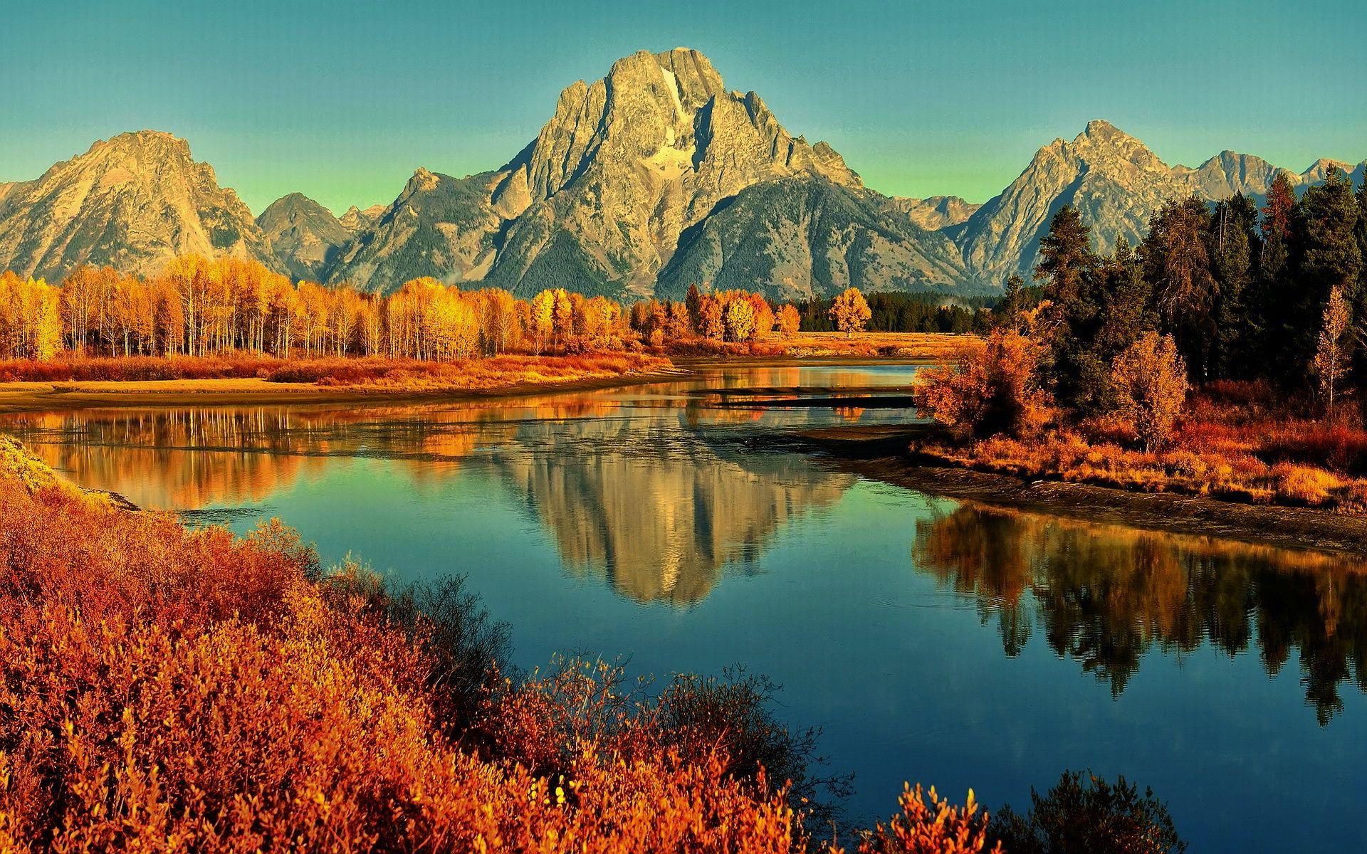 reflection, snake, leaves, autumn, 1080P, mountains, water, colors, trees, river, HD Wallpaper