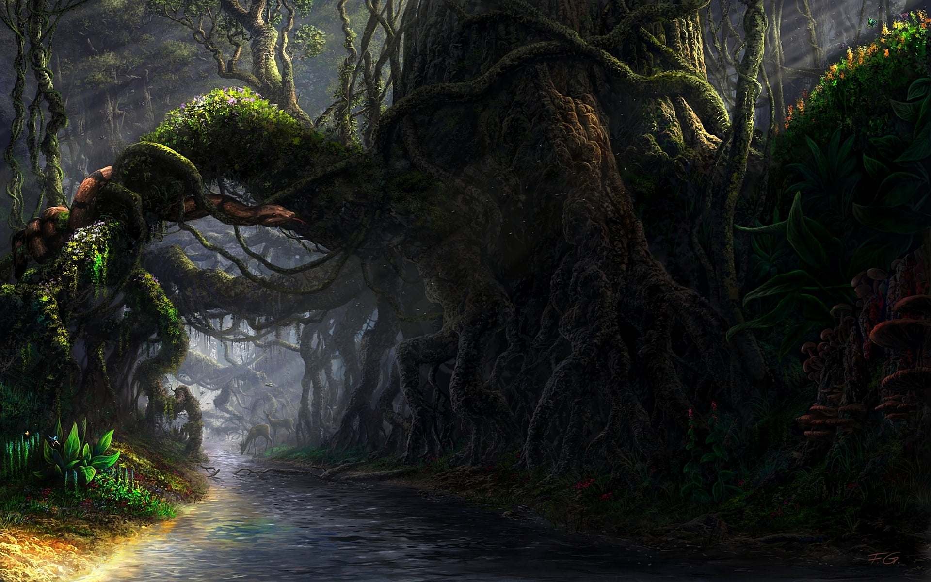 dark, mystery, rainforest, land, plant, 1080P, Fel-X, footpath, art and craft, green Color, mushrooms, forest, flowing water, growth, water, stream, landscape, HD Wallpaper