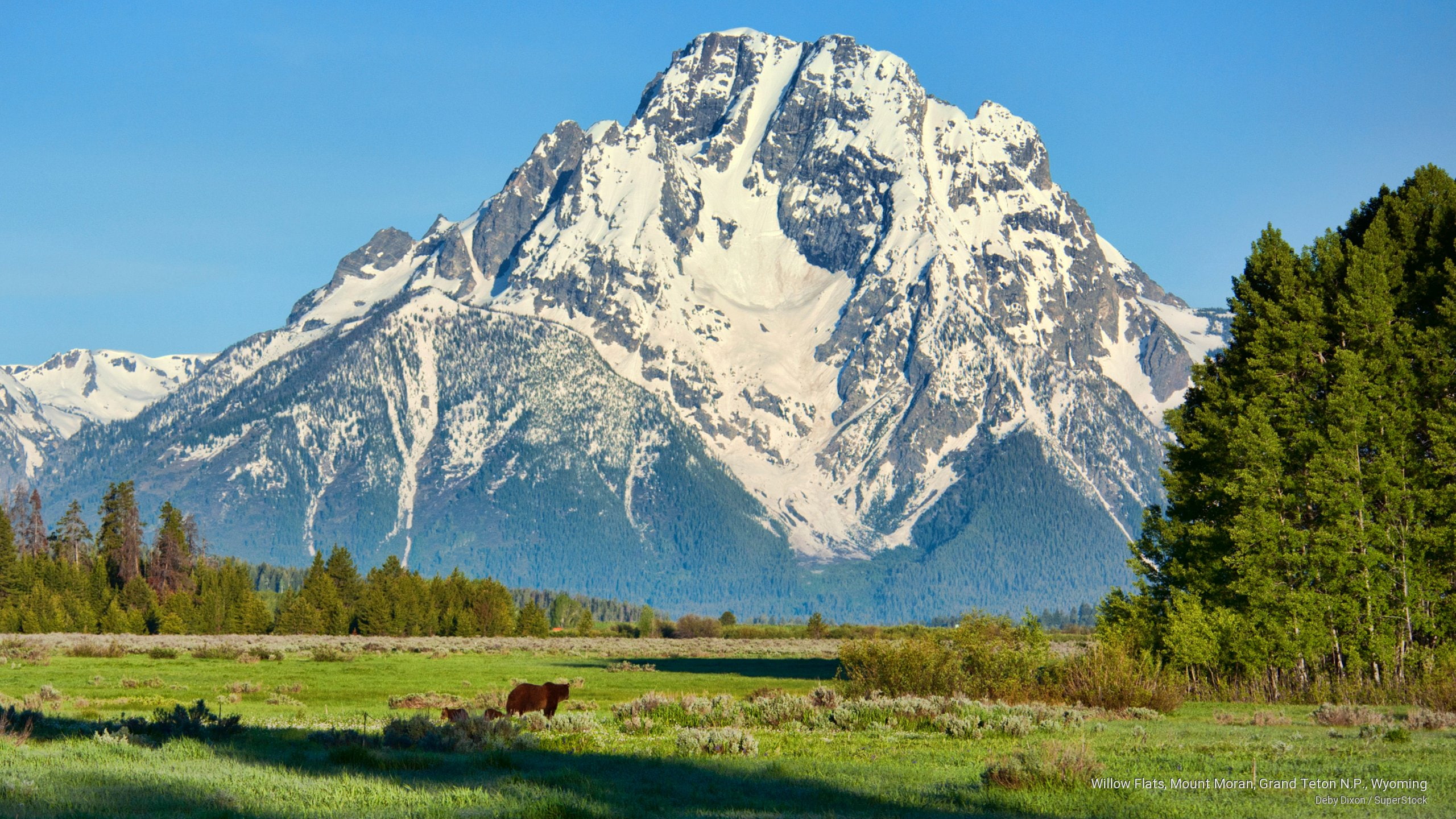 grand, flats, n, teton, National Parks, moran, wyoming, 2K, mount, p, willow, HD Wallpaper