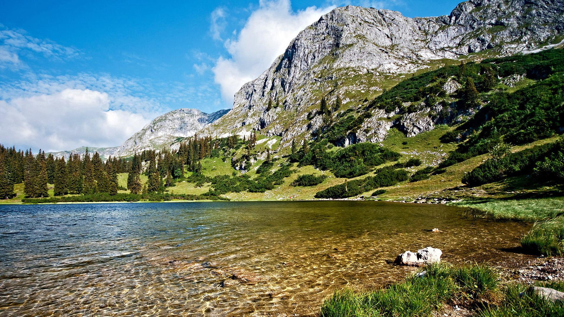 1080P, pristine, trees, mountain, 3d and abstract, clear, lake, austria, cliffs, HD Wallpaper