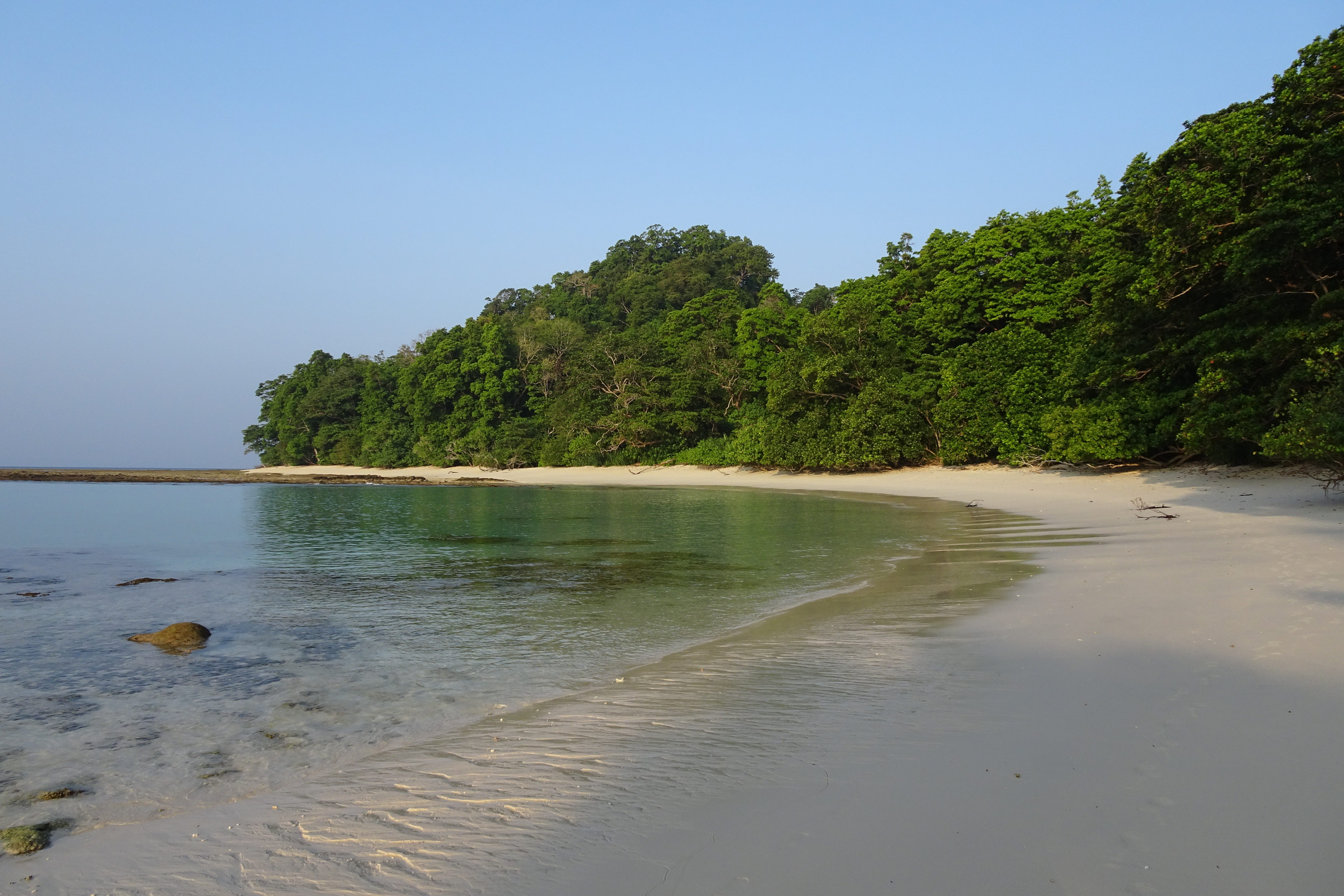 beauty in nature, day, pristine, tropical, greenery, growth, coastal, seascape, plant, land, idyllic, no people, outdoors, 4K, holidays, radhanagar, serene, HD Wallpaper