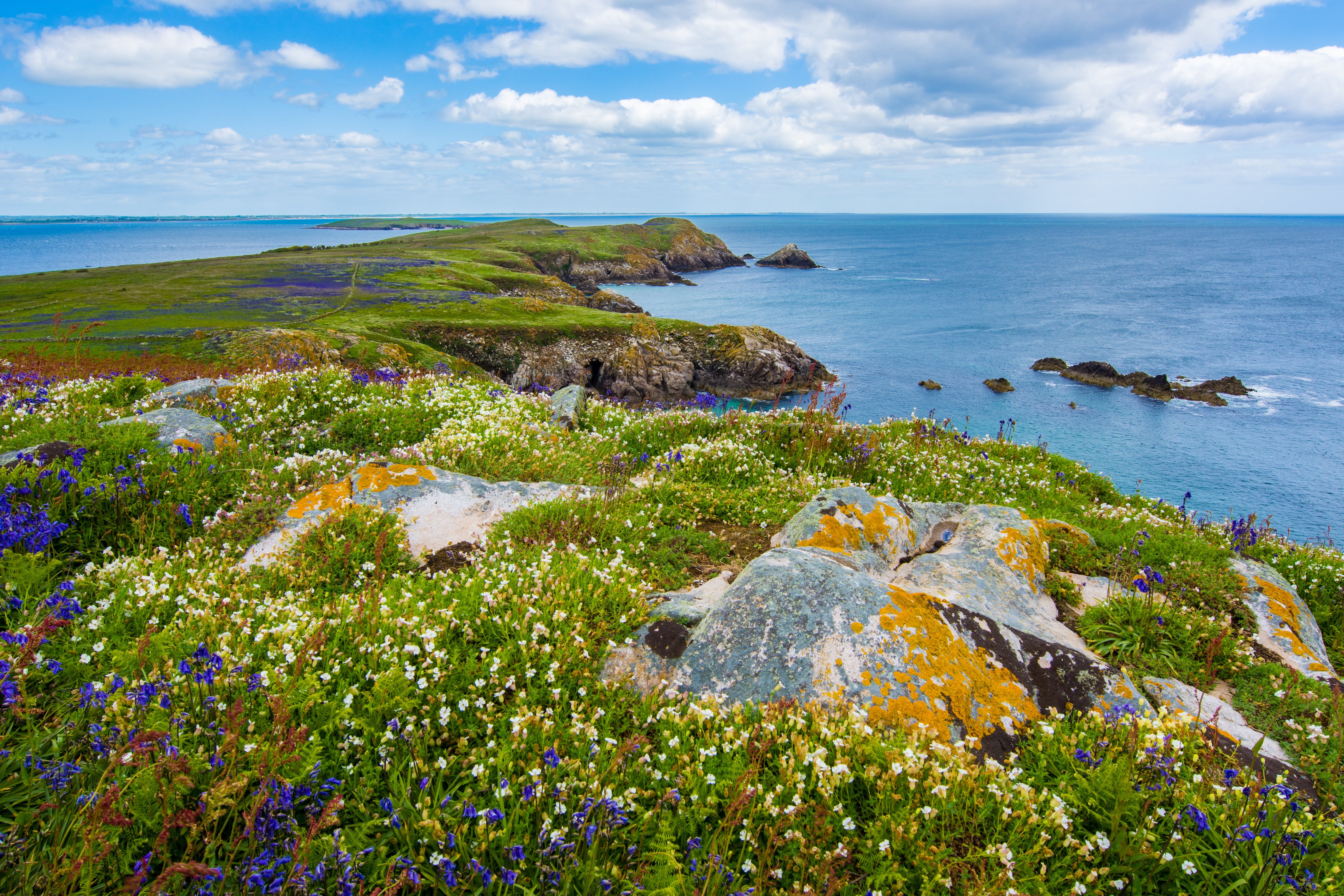 scenics - nature, nordic, arctic, plant, boulders, horizon over water, nature, blue, beauty in nature, horizon, summer, near, seascape, green, day, remote, HD Wallpaper