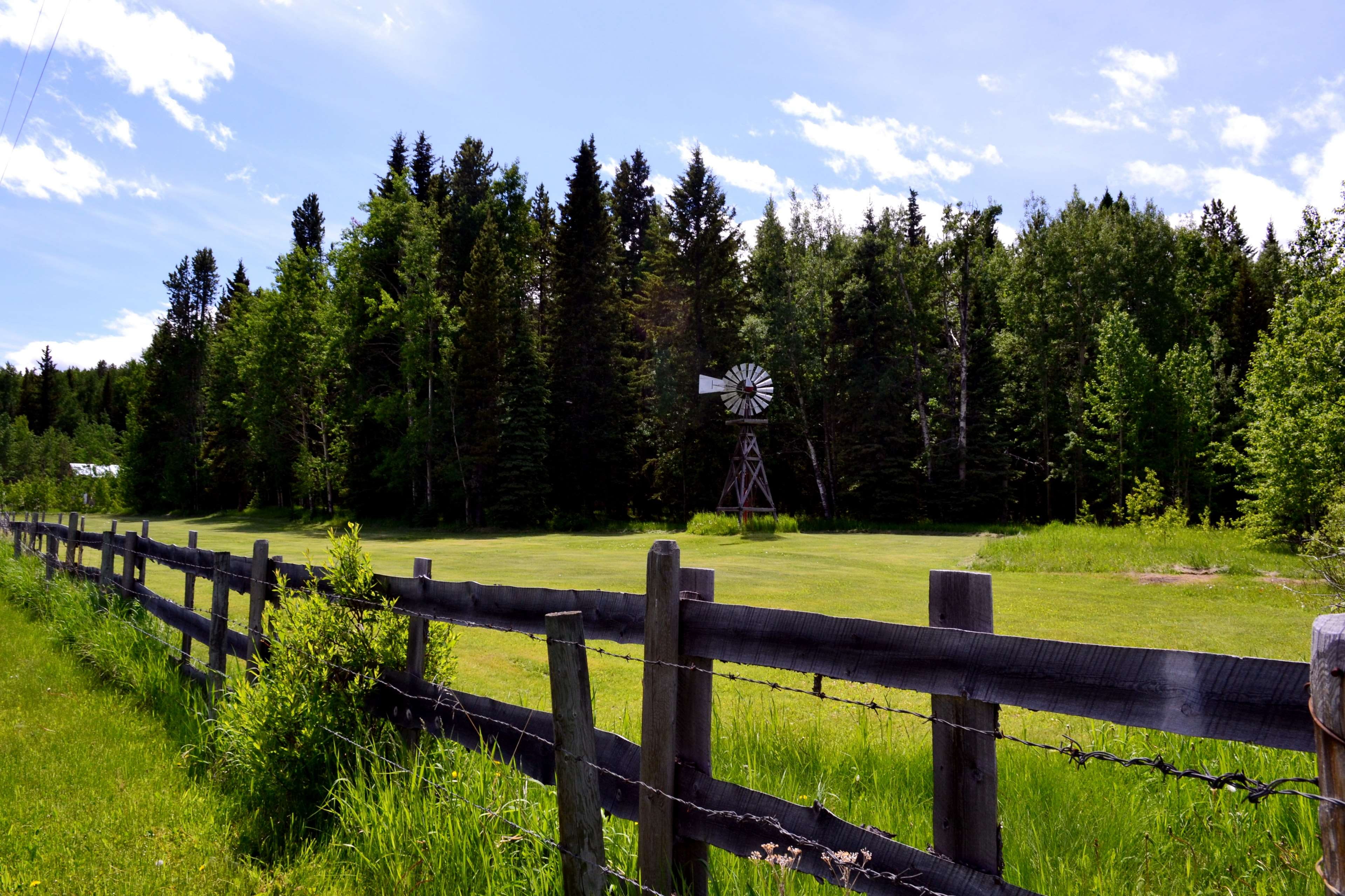 heritage, beauty in nature, pristine, non-urban scene, old fashioned, green color, field, nature, boundary, growth, grass, canada, no people, fence, plant, HD Wallpaper