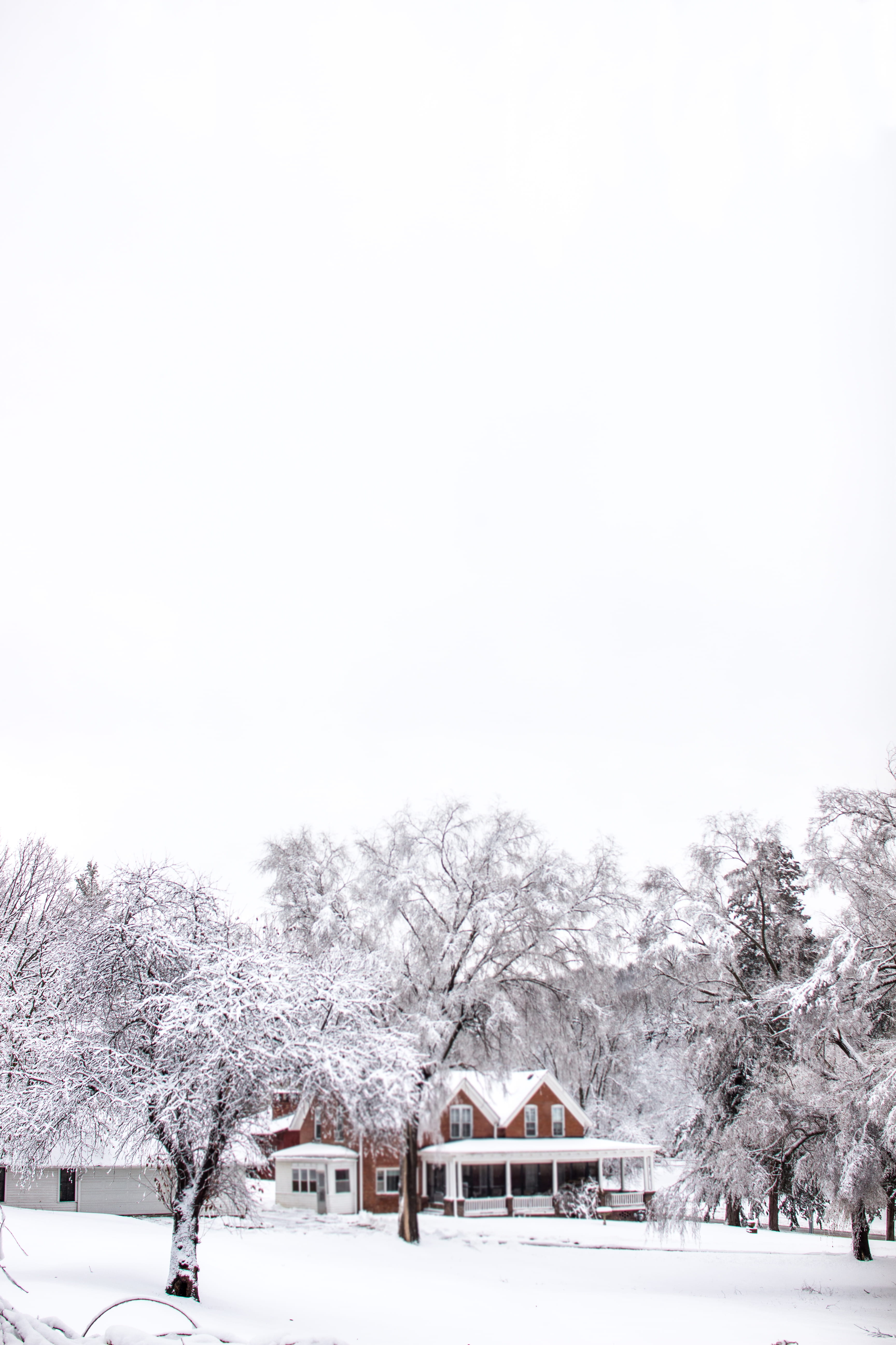 council bluffs, snowing, blizzard, 5K, scenics - nature, snowstorm, winter, sky, country, old, winter sky, environment, plant, copy space, no people, building, Phone HD Wallpaper